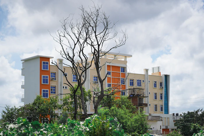 Best Budget Hostels