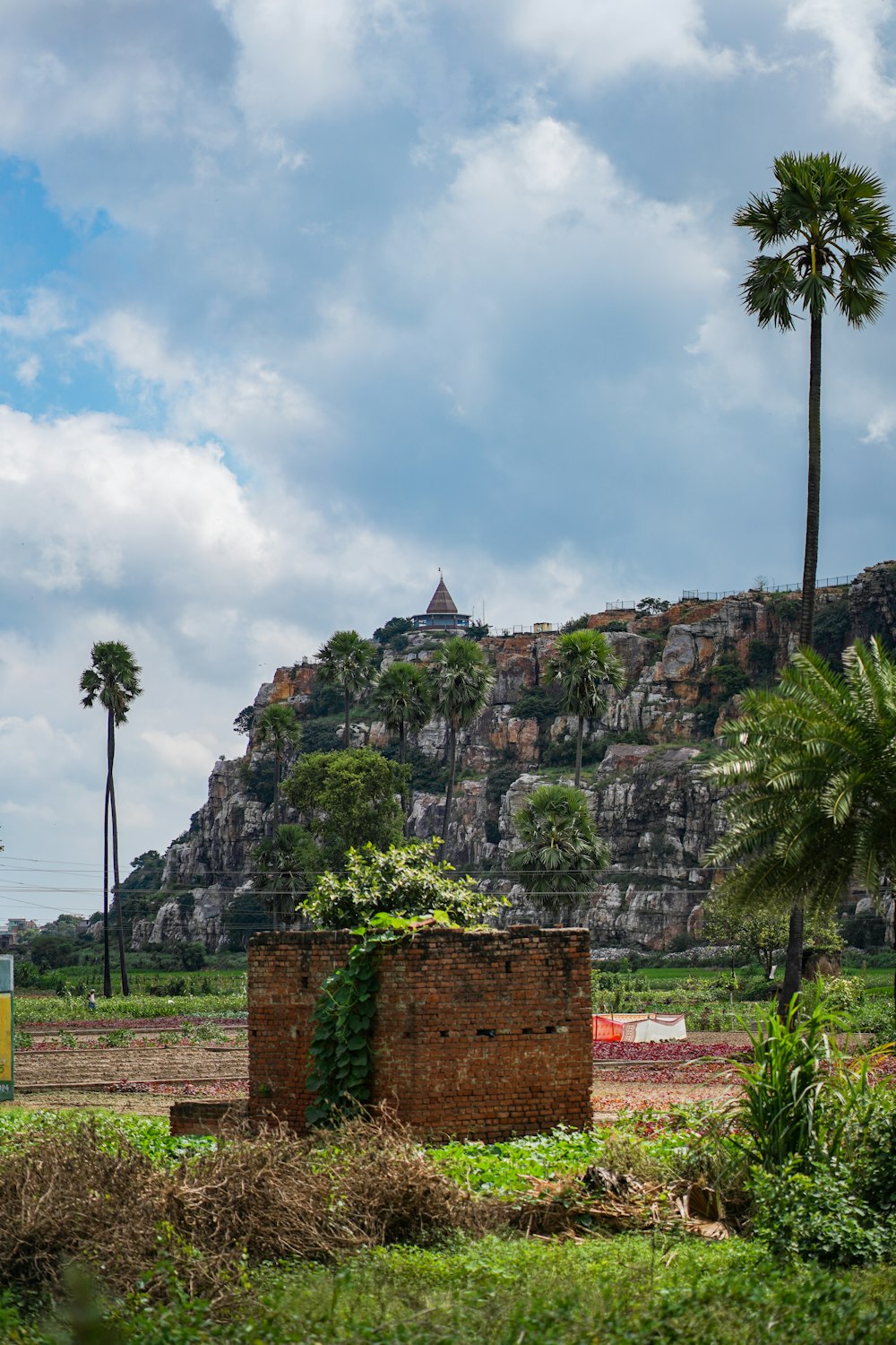 a stone wall with trees and a building in the background