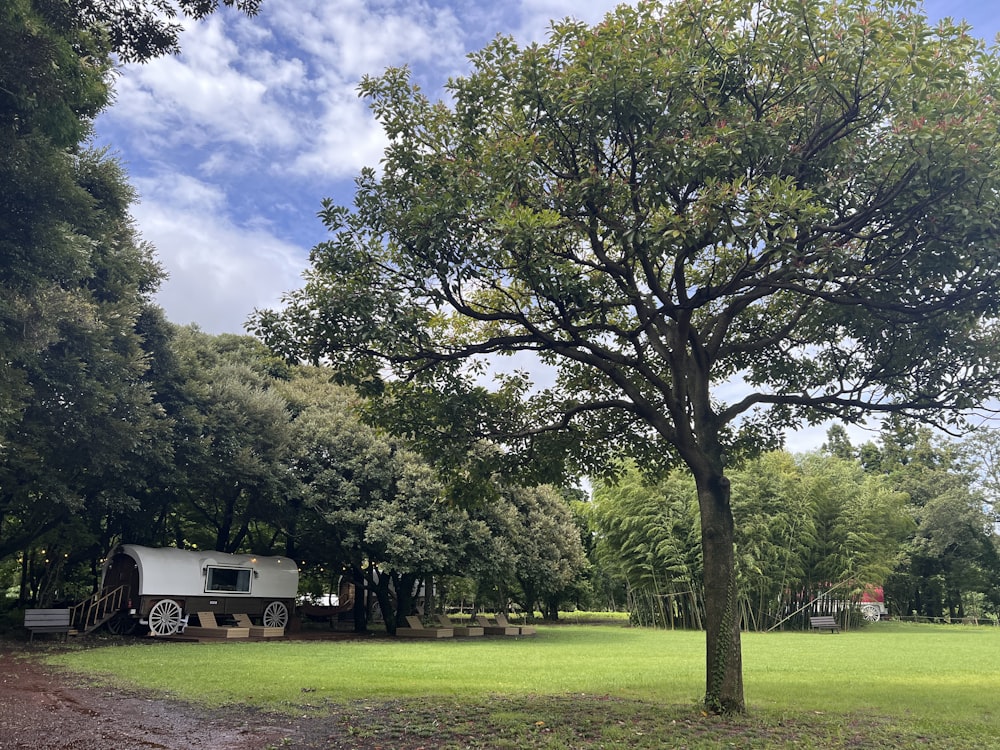 a truck parked in a field