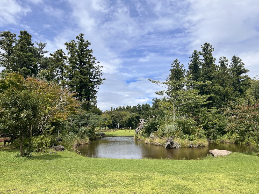 a pond surrounded by grass and trees