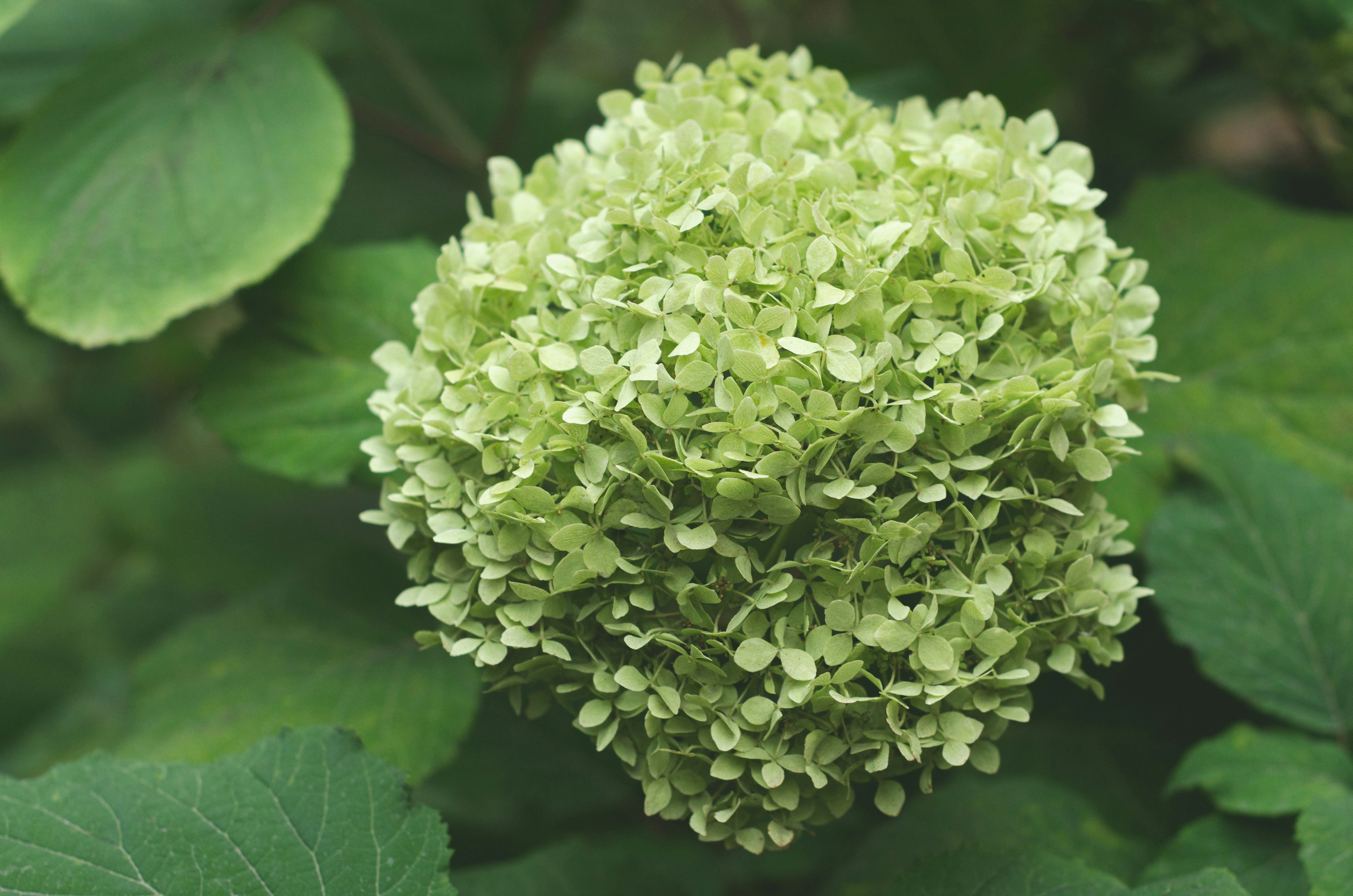 Photo by indi_grunge