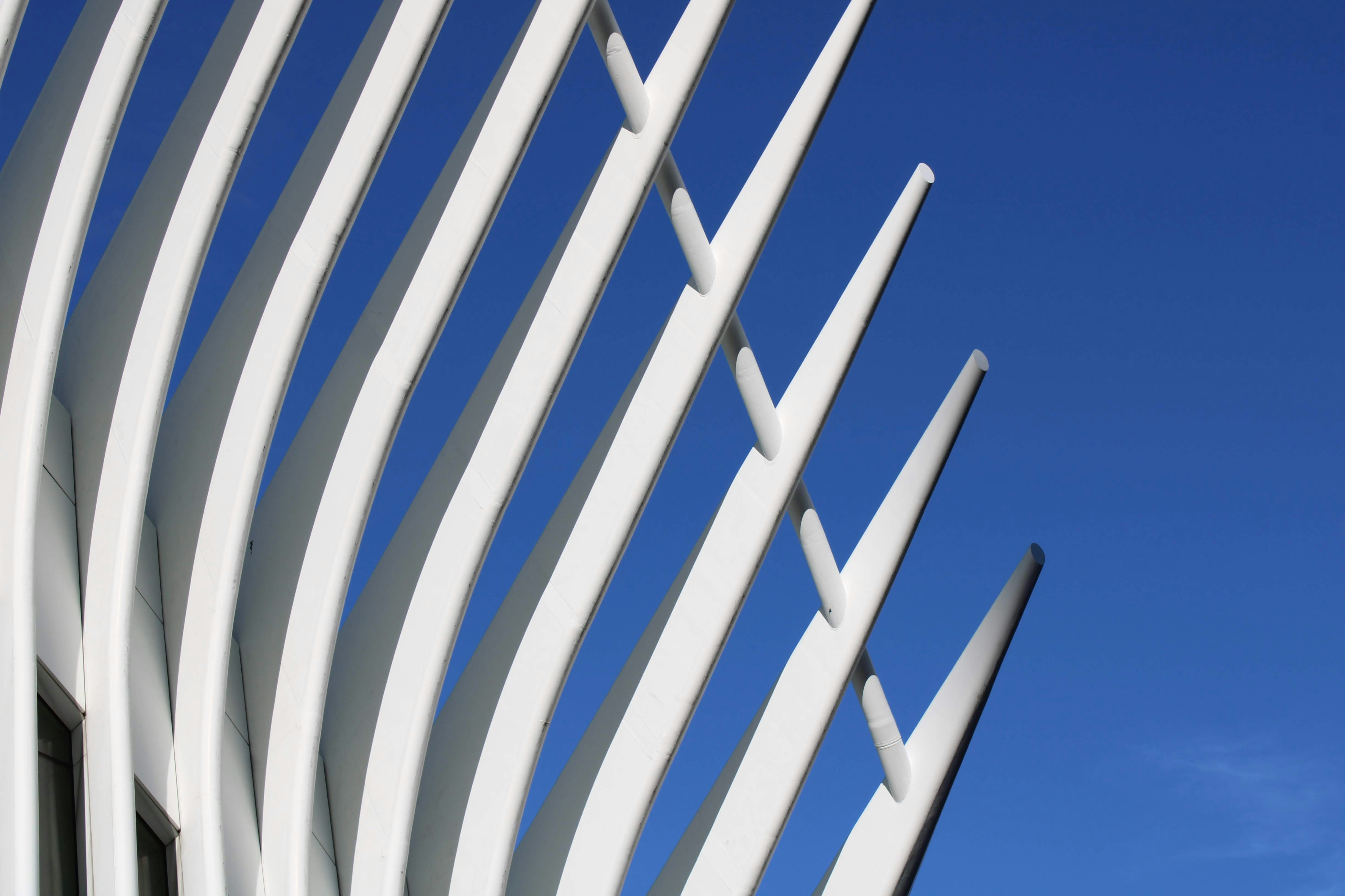 Photo by shlokjethwa