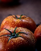Close-up of dew-covered tomatoes freshly picked and ready for market display.