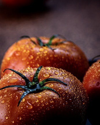 Close-up of dew-covered tomatoes freshly picked and ready for market display.