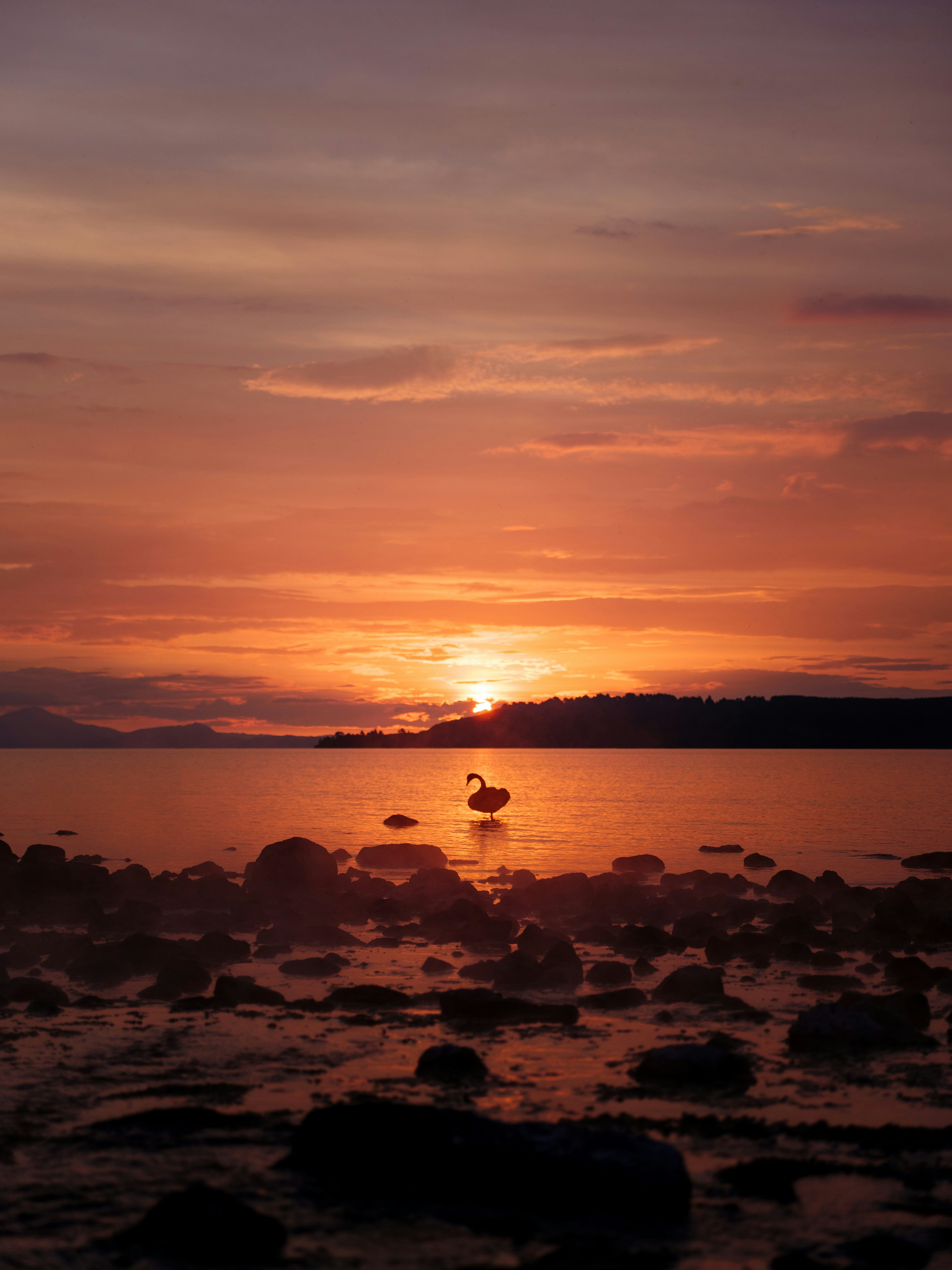 Taupo – Activities & Attractions