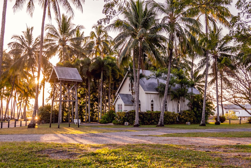 a white house with palm trees