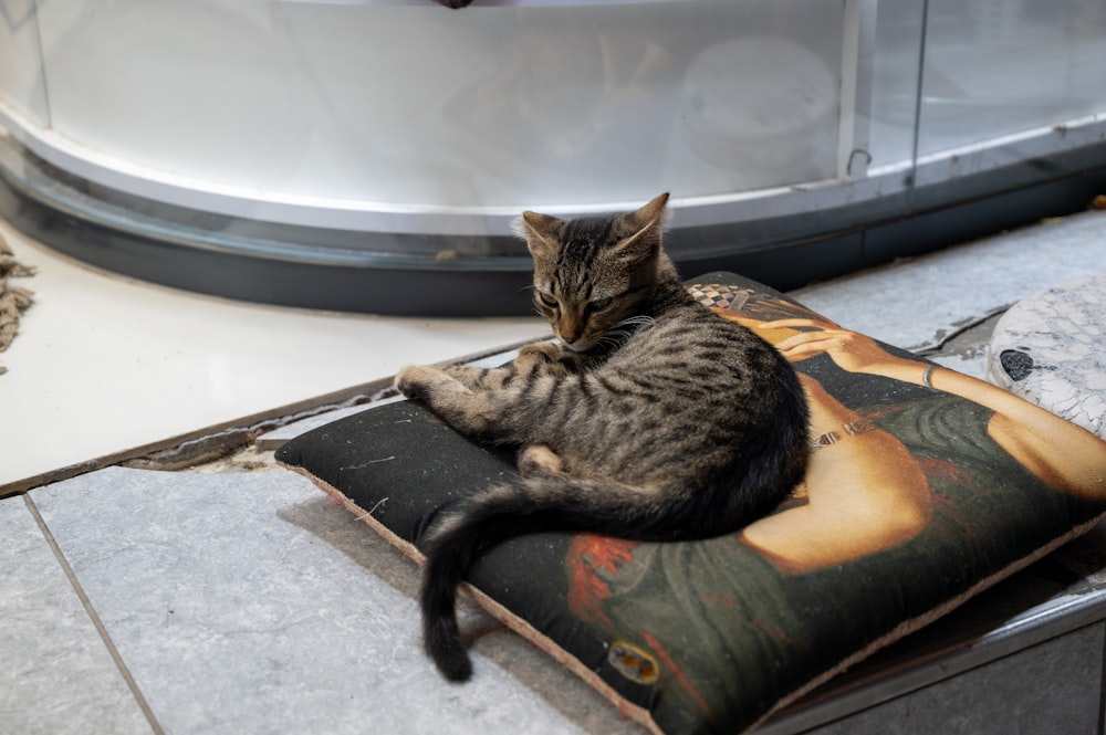 a cat lying on a pot