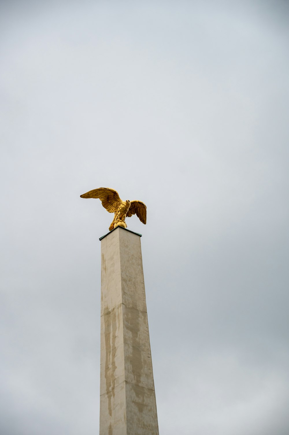 Ein Vogel auf einem Turm