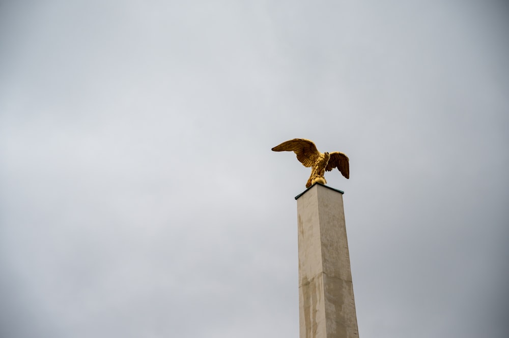 a bird on a post