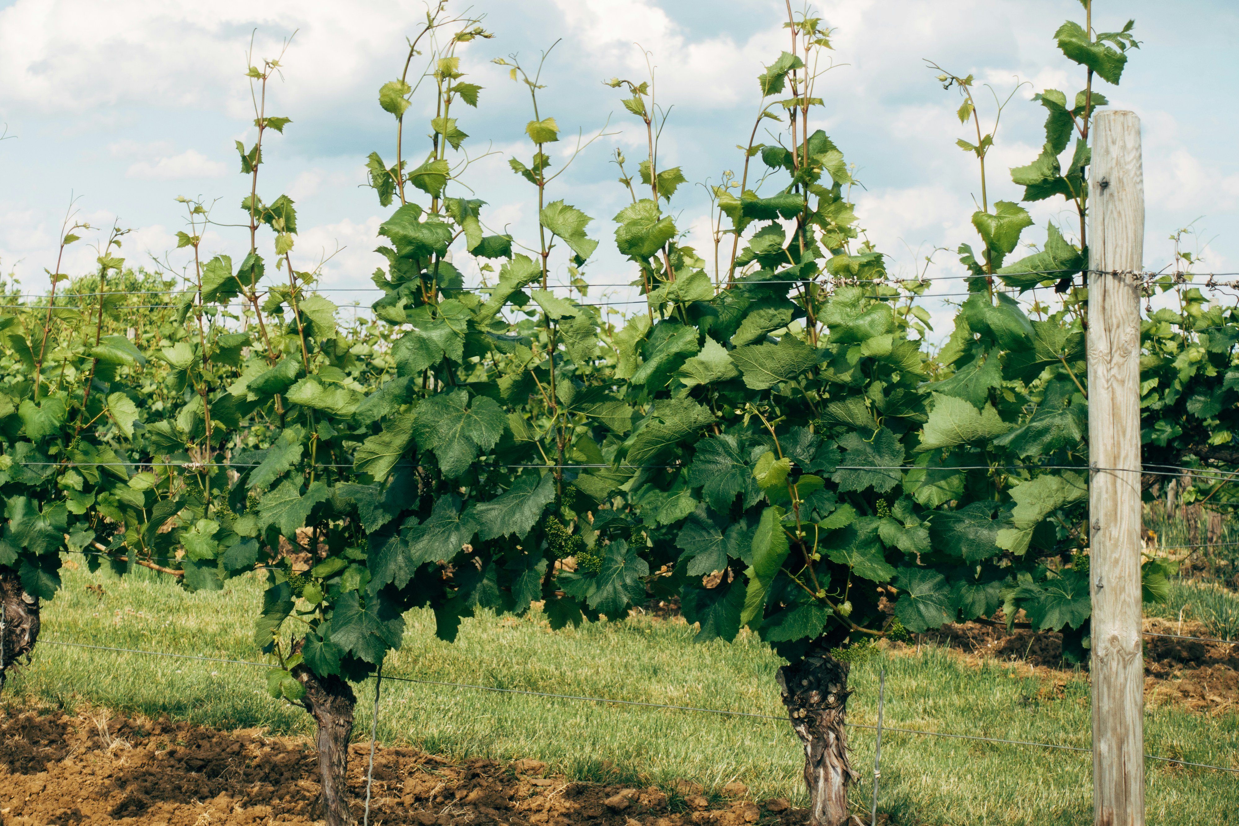 Photo by markuswinkler