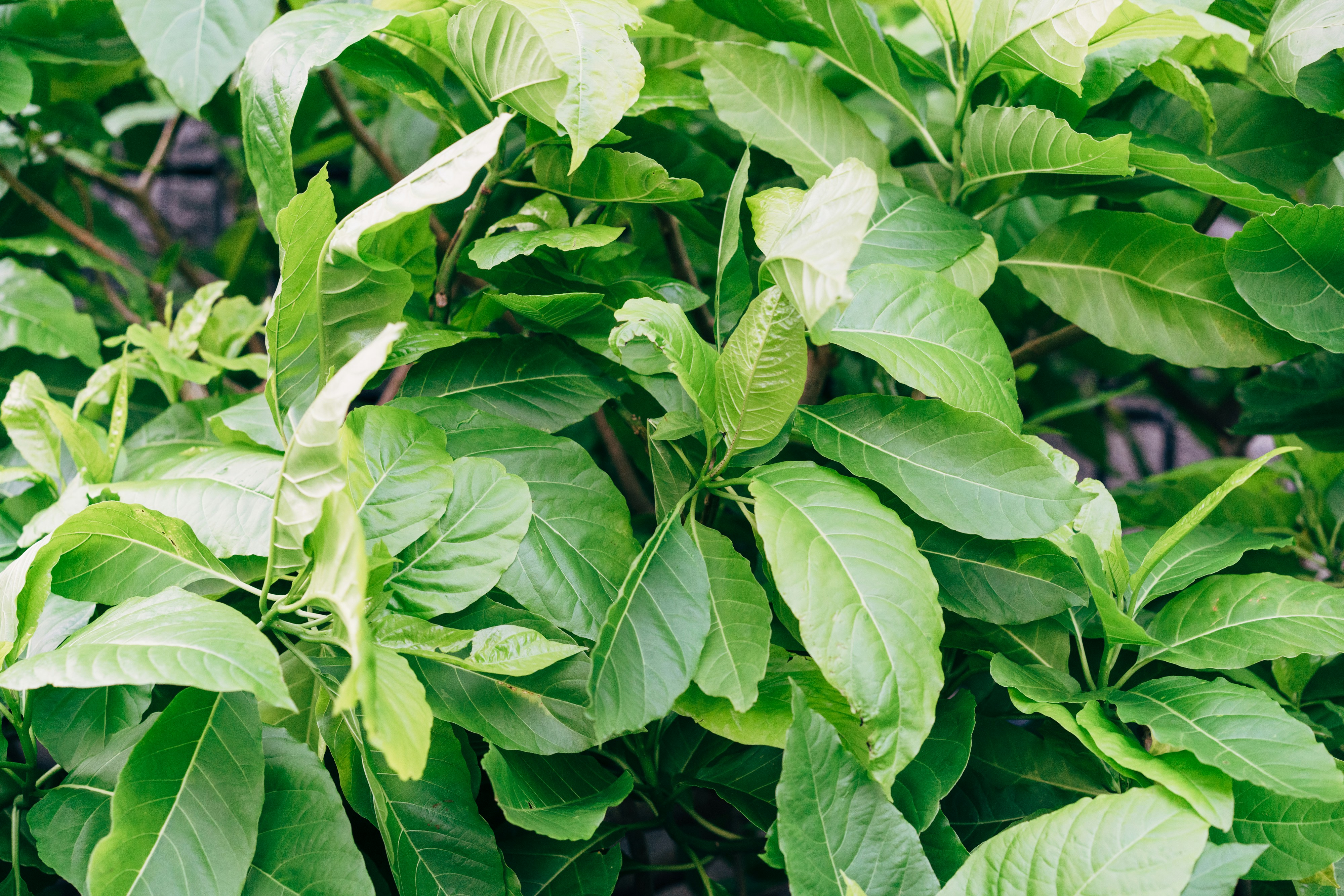 Photo by markuswinkler