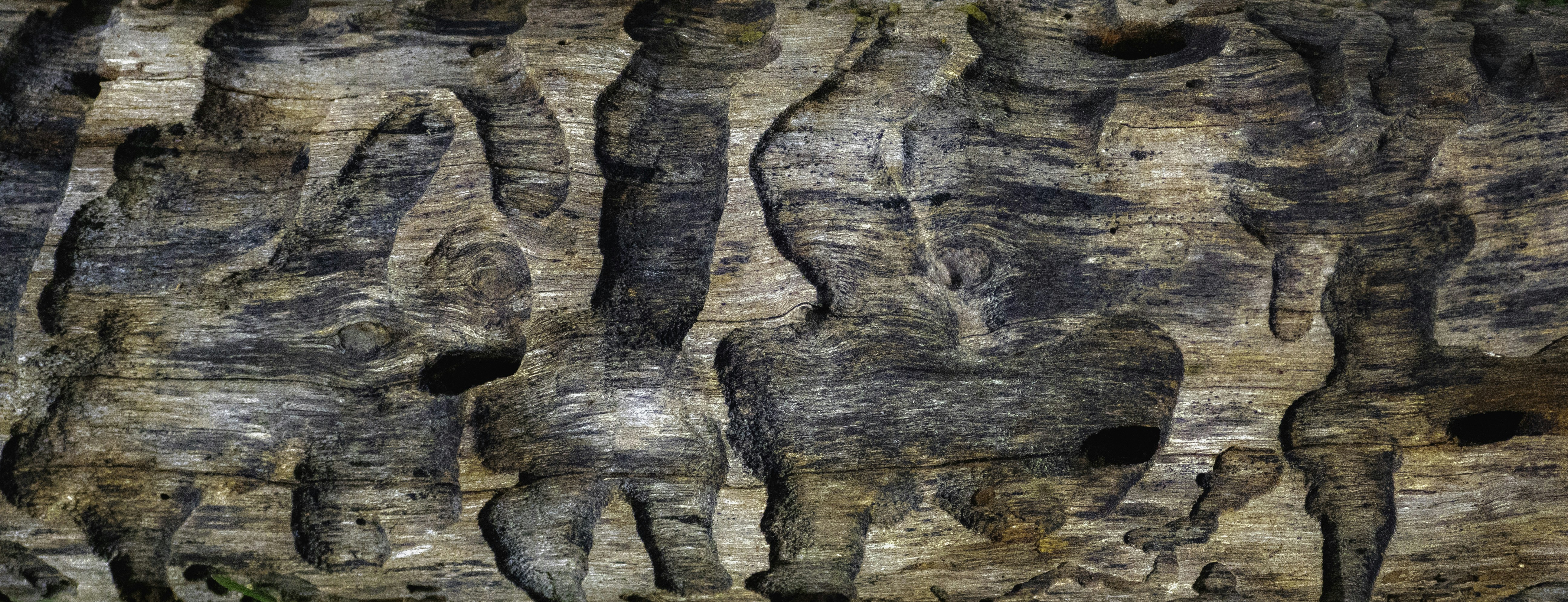 a close-up of a rock formation
