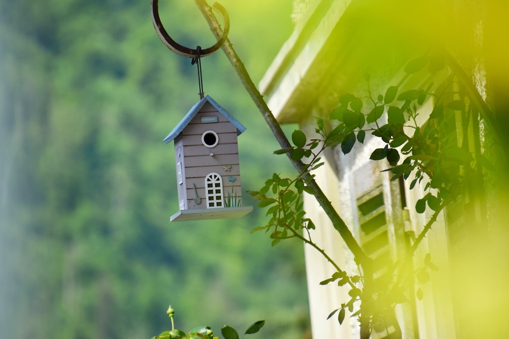 a birdhouse from a tree