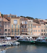 a group of boats in a harbor