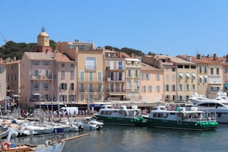 a group of boats in a harbor