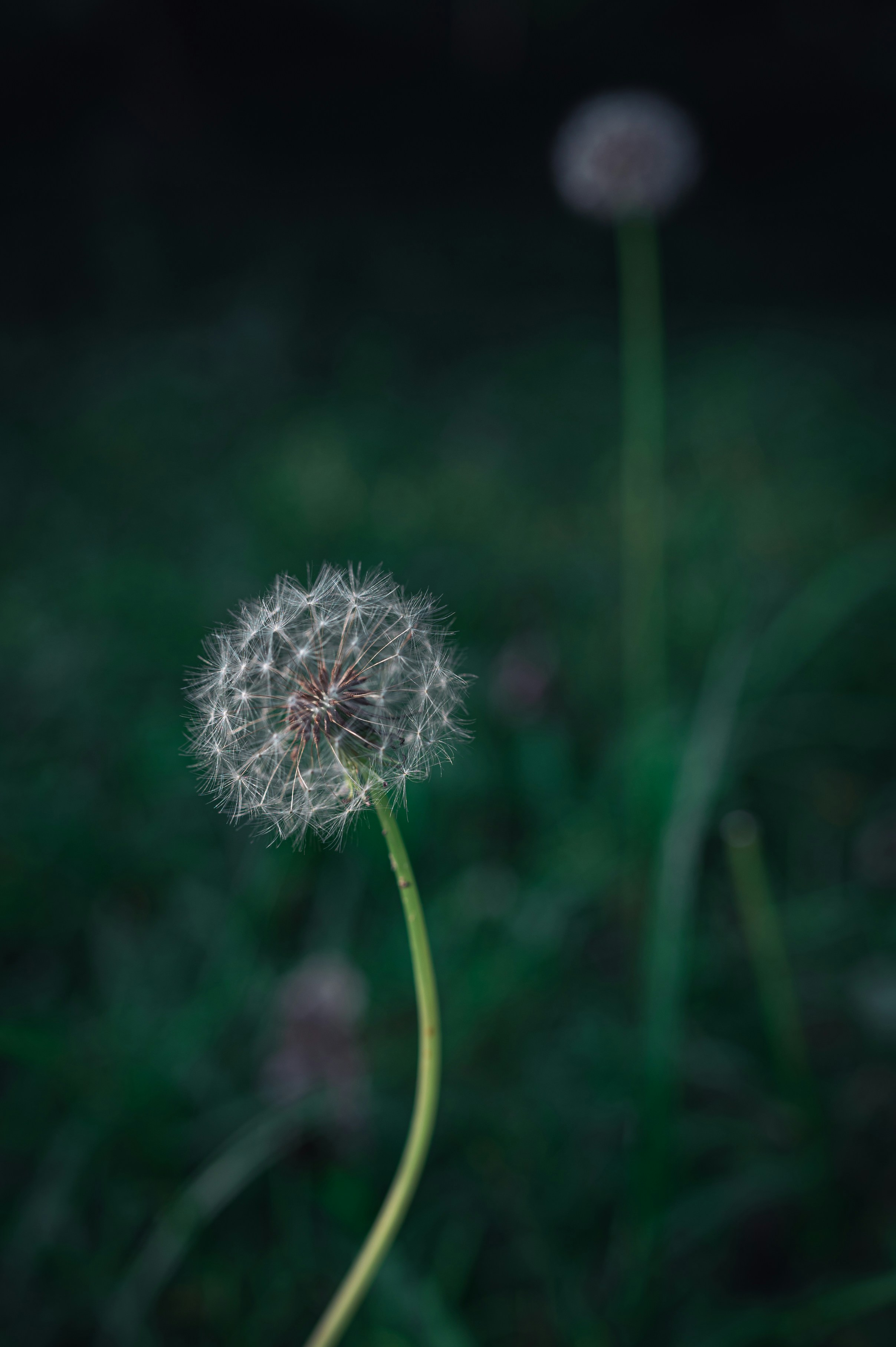 Photo by peek_a_boo_who