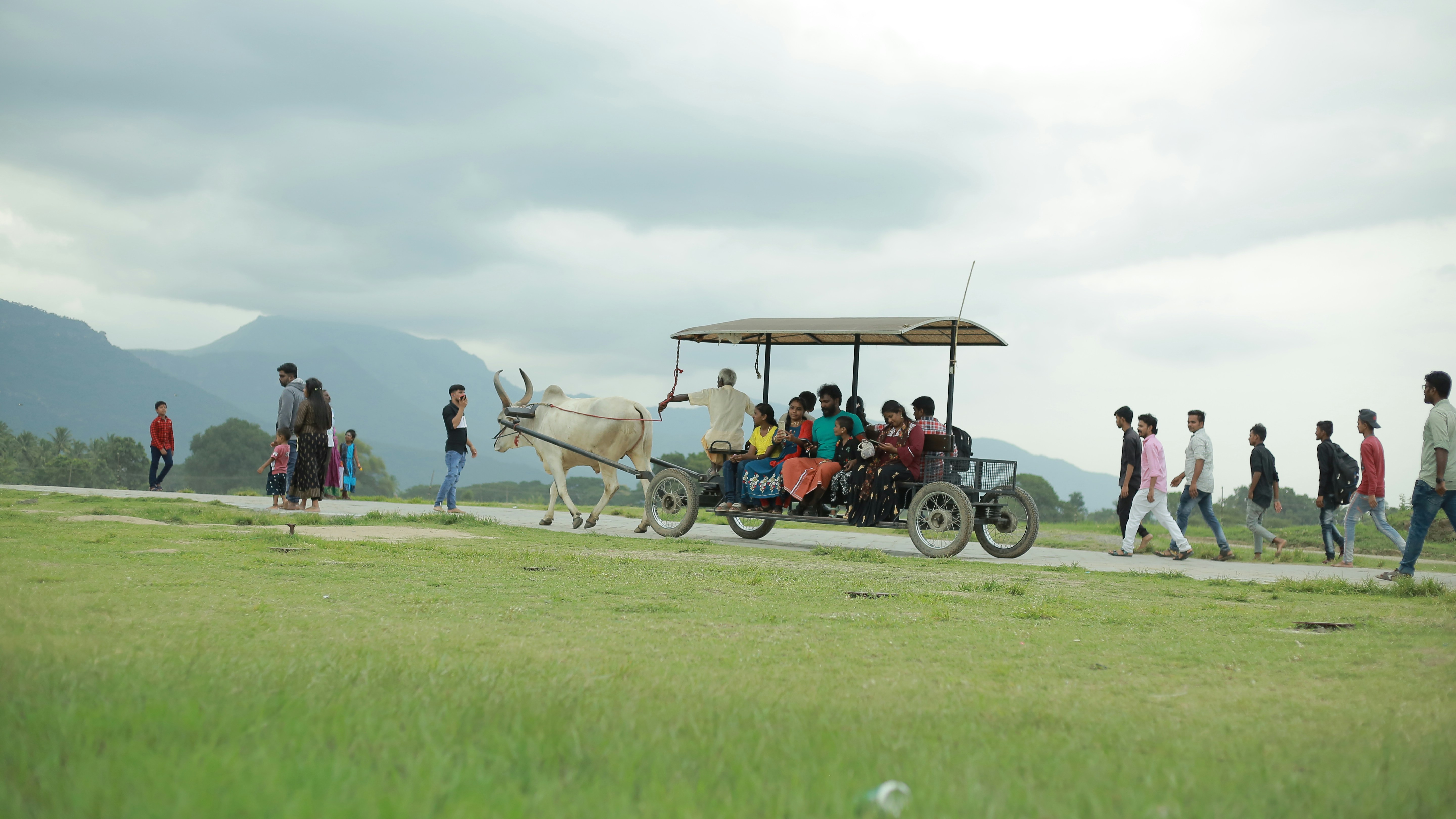 a group of people walking around a cart with a white animal on it