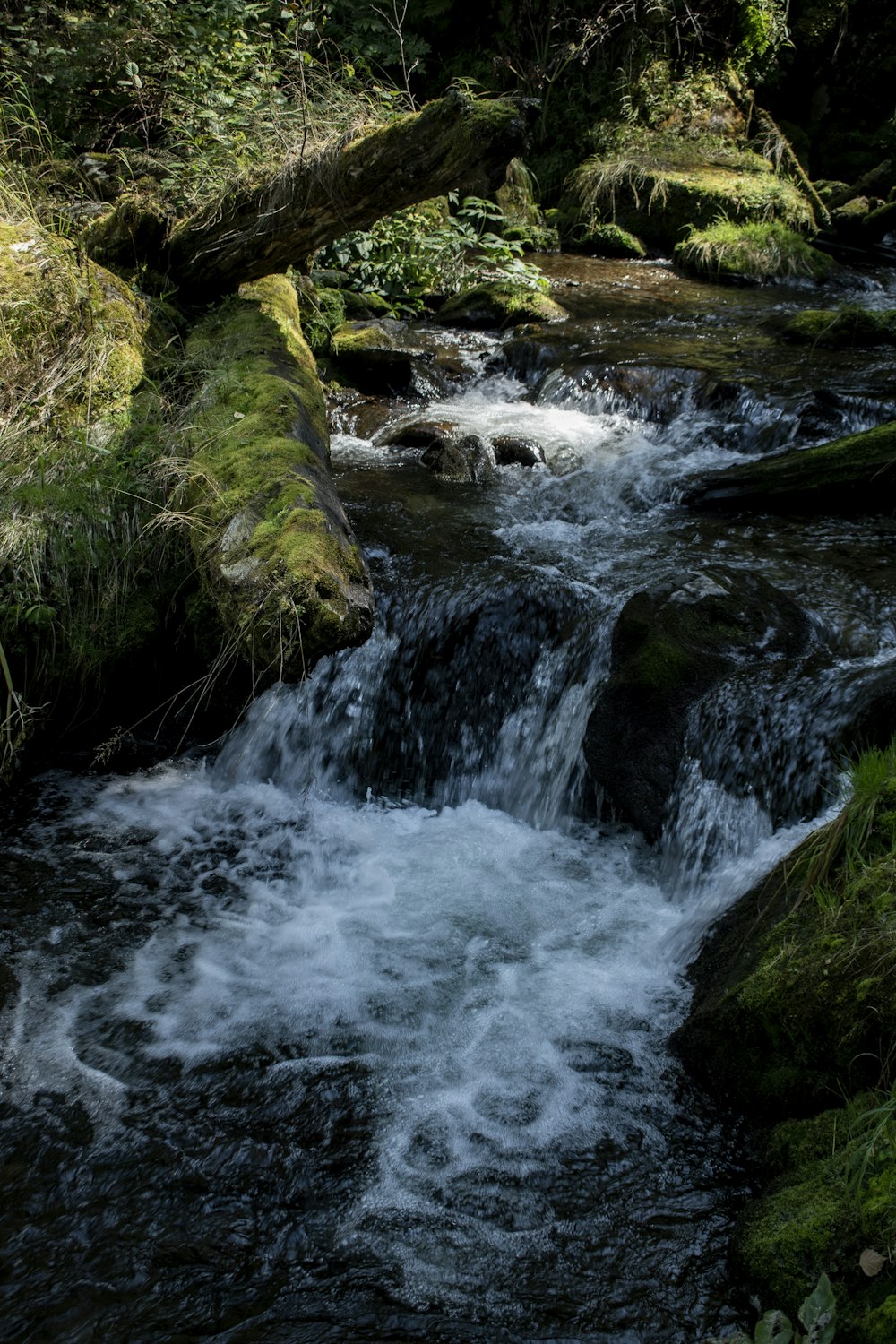 a river with rocks and trees