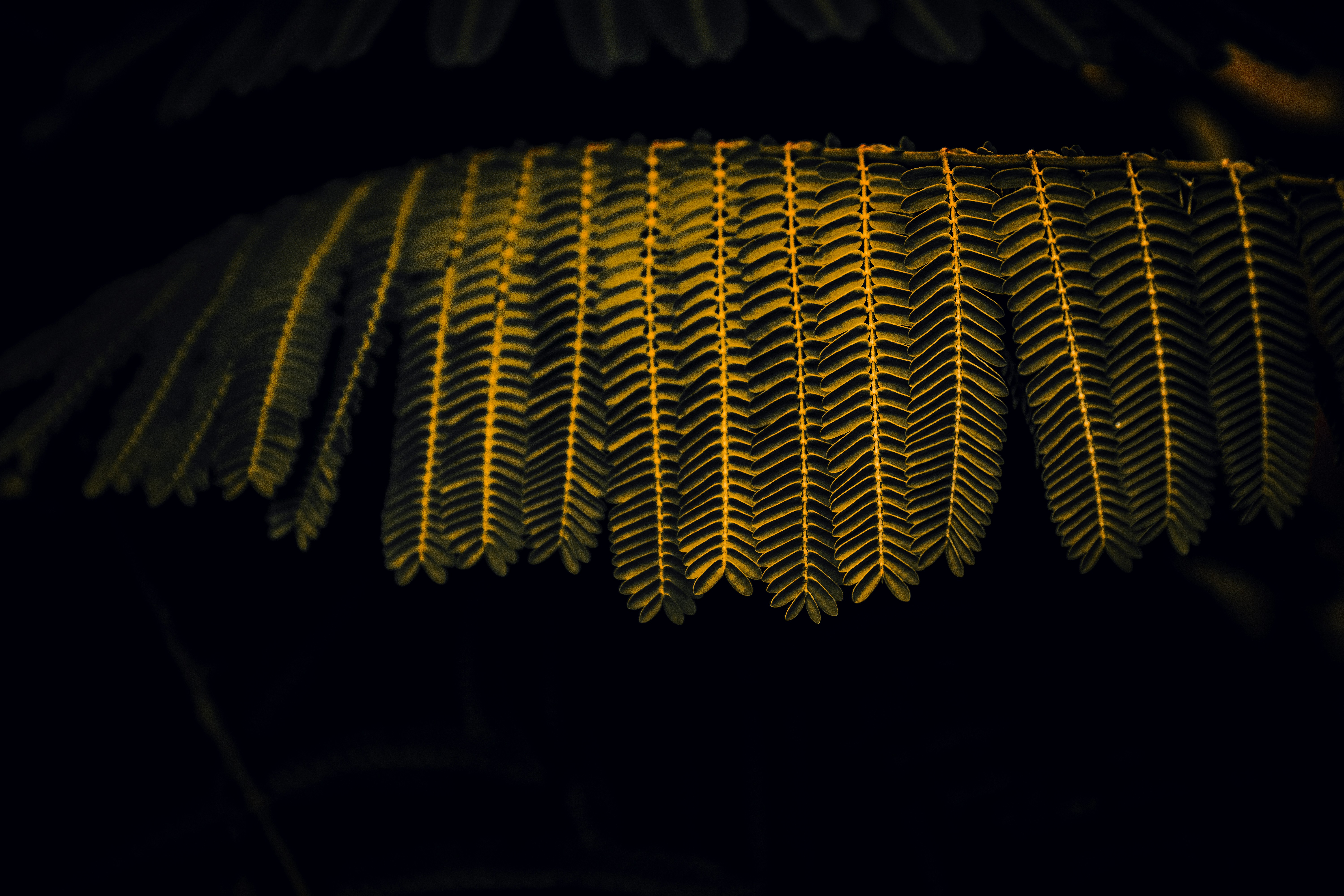 Is Photoshop Hard to Learn?