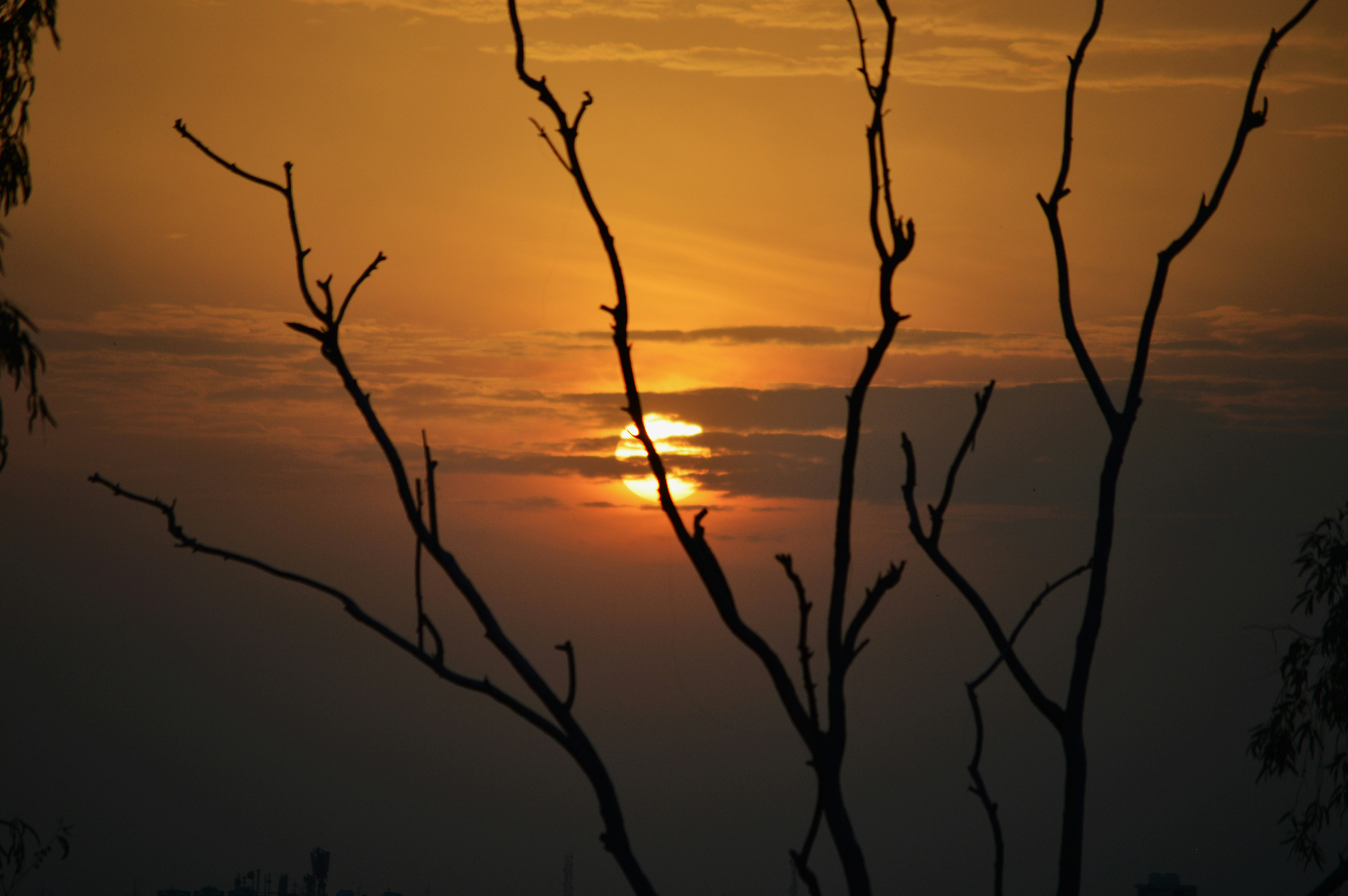 Photo by joshimilestoner