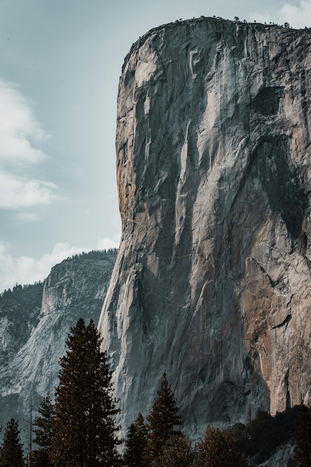 a large rock cliff with trees below