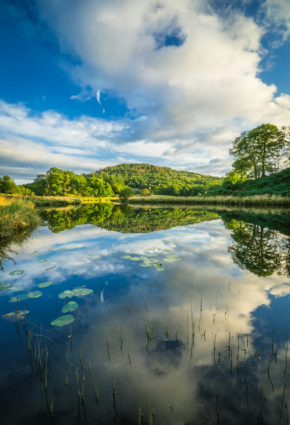 a body of water with trees and hills in the background