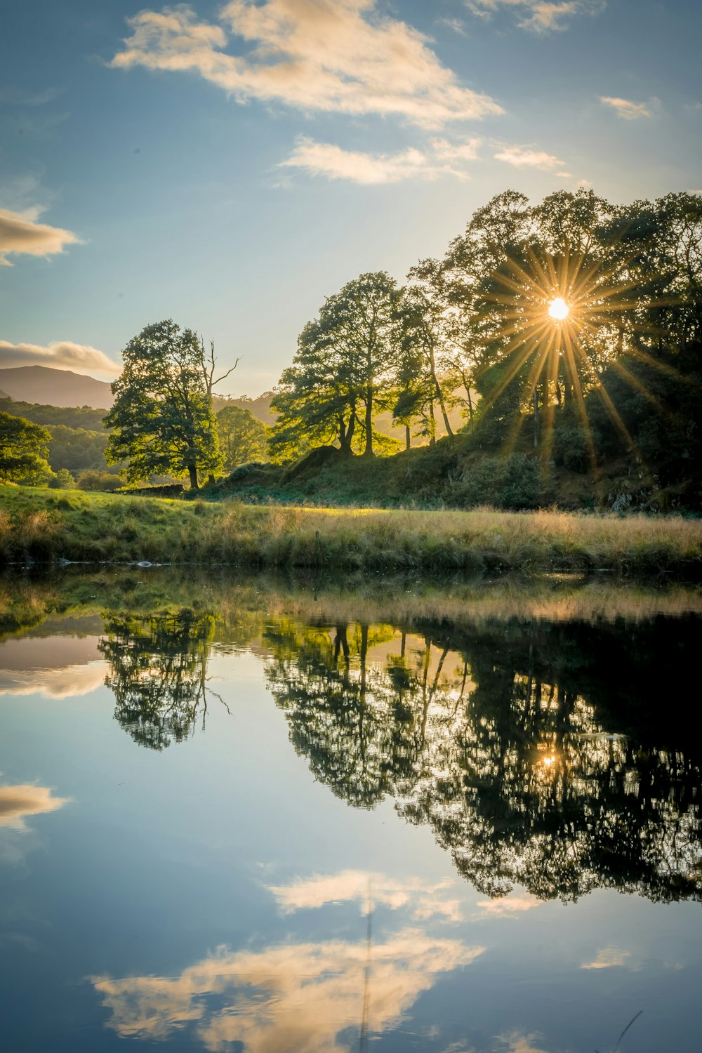 a body of water with trees and grass around it