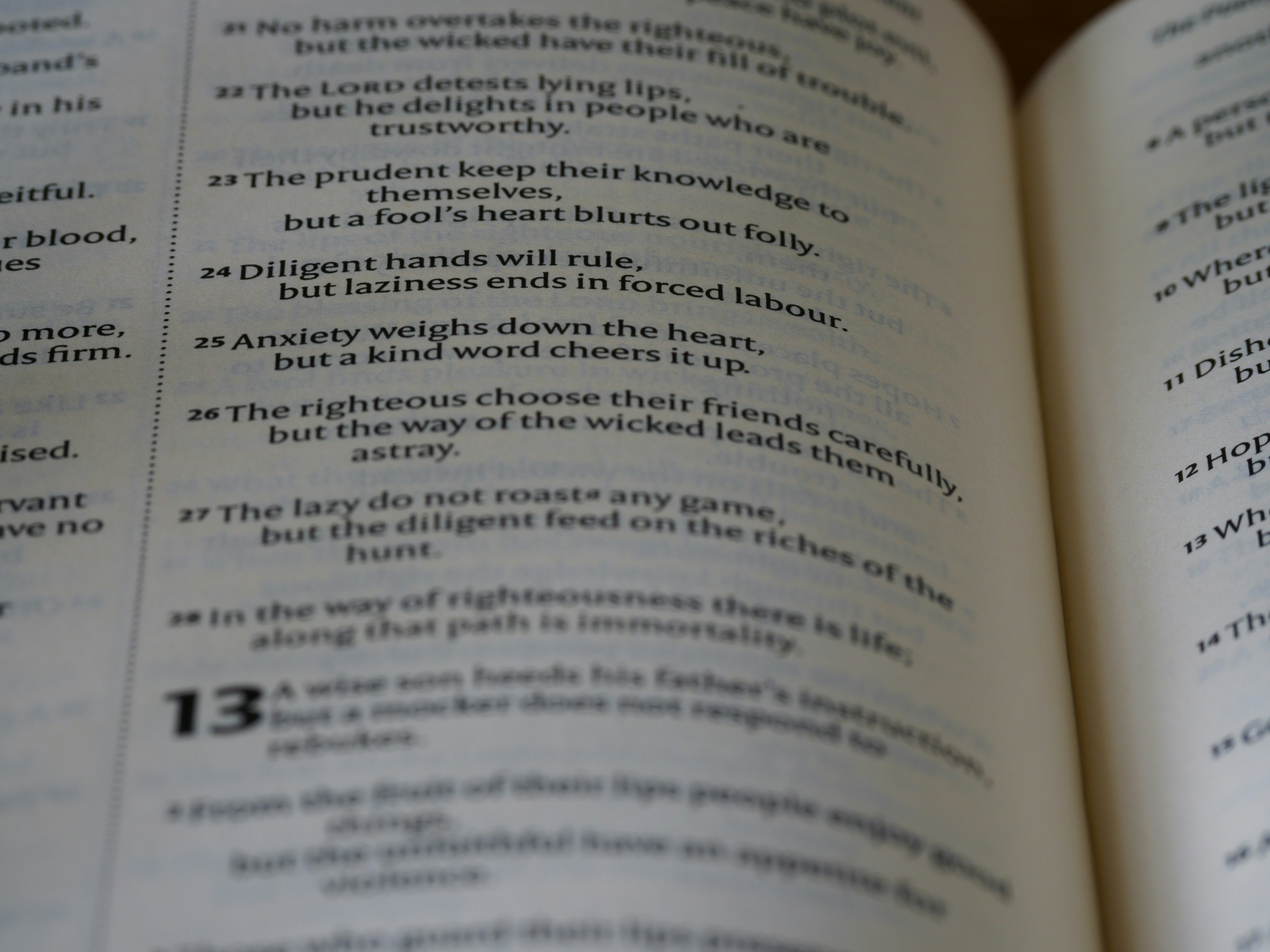 Photo by brett_jordan