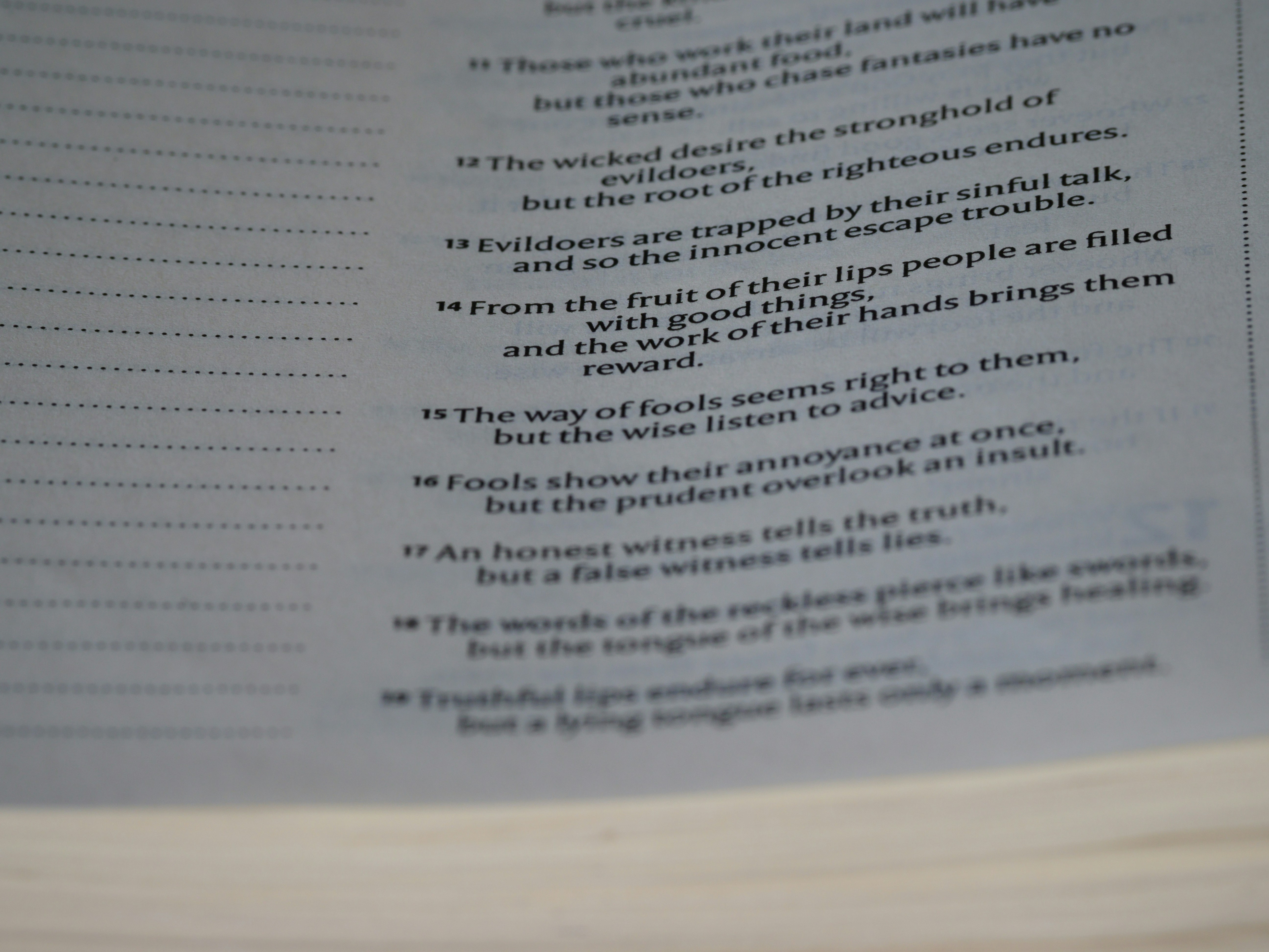 close up, bokeh, macro, blur, blurred background, close focus, bible, old testament, hebrew bible, christian, judaism, history, text, reading, bible study, devotions, text, NIV, New International Version, type, typography, canon, christianity, holy scripture, holy bible, scripture, old testament, hebrew bible, מִשְלֵי, book of proverbs, proverbs of solomon, wisdom literature, ketuvim, anthology, solomon, wisdom, sayings, mashai, folly, values, morality, proverbs, proverb, life skills, ancient wisdom, hebrew wisdom, <br />