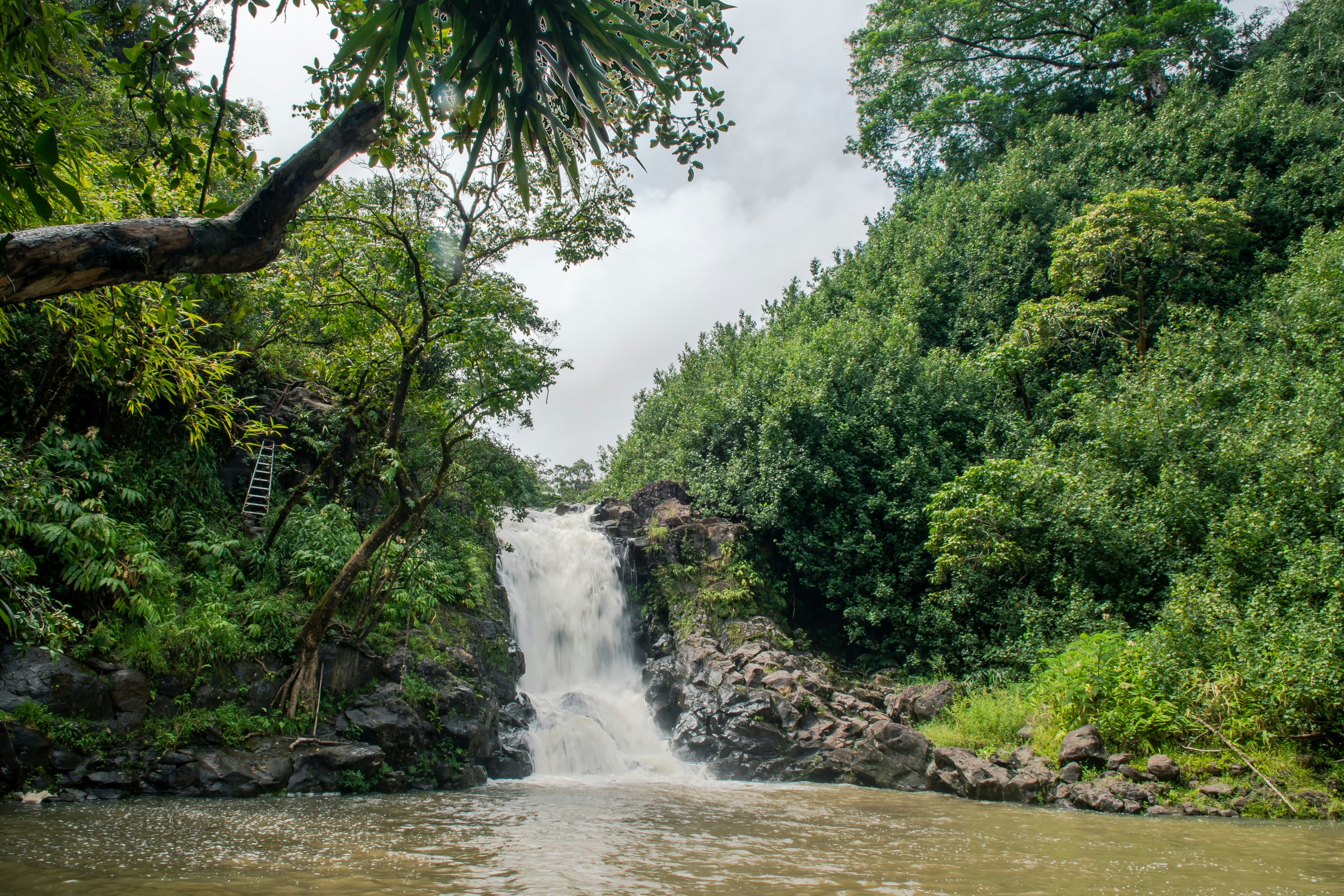 Bamboo waterfall along the Road to Hana in Maui
