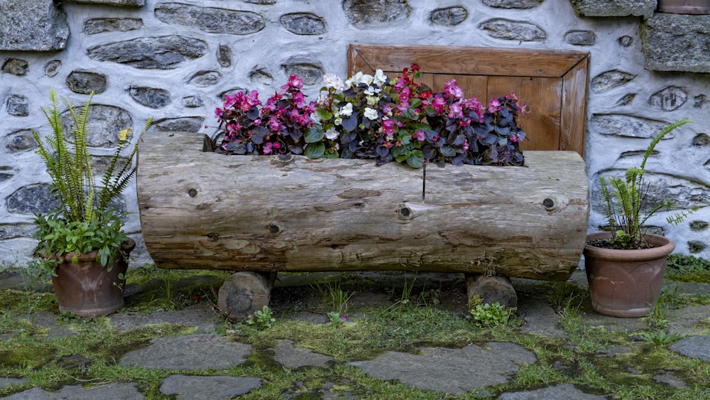 a bench with flowers on it