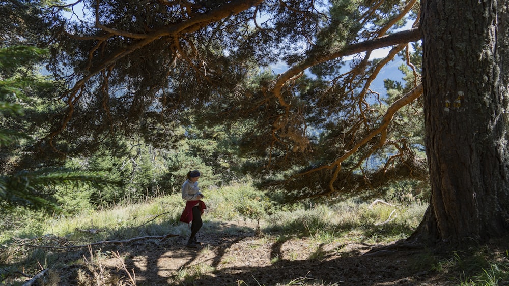 a man walking in a forest