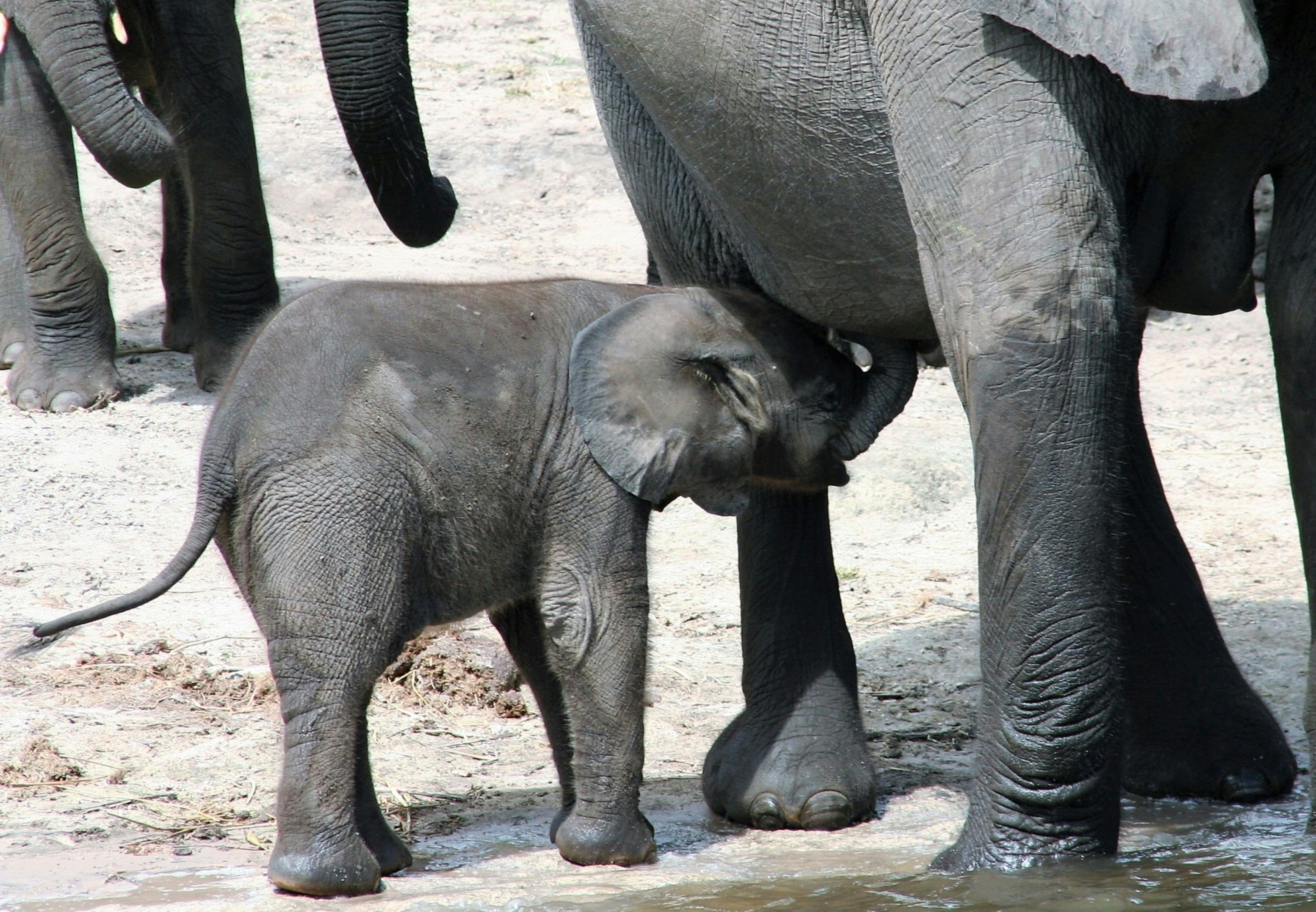 Photo by craigmanners_com