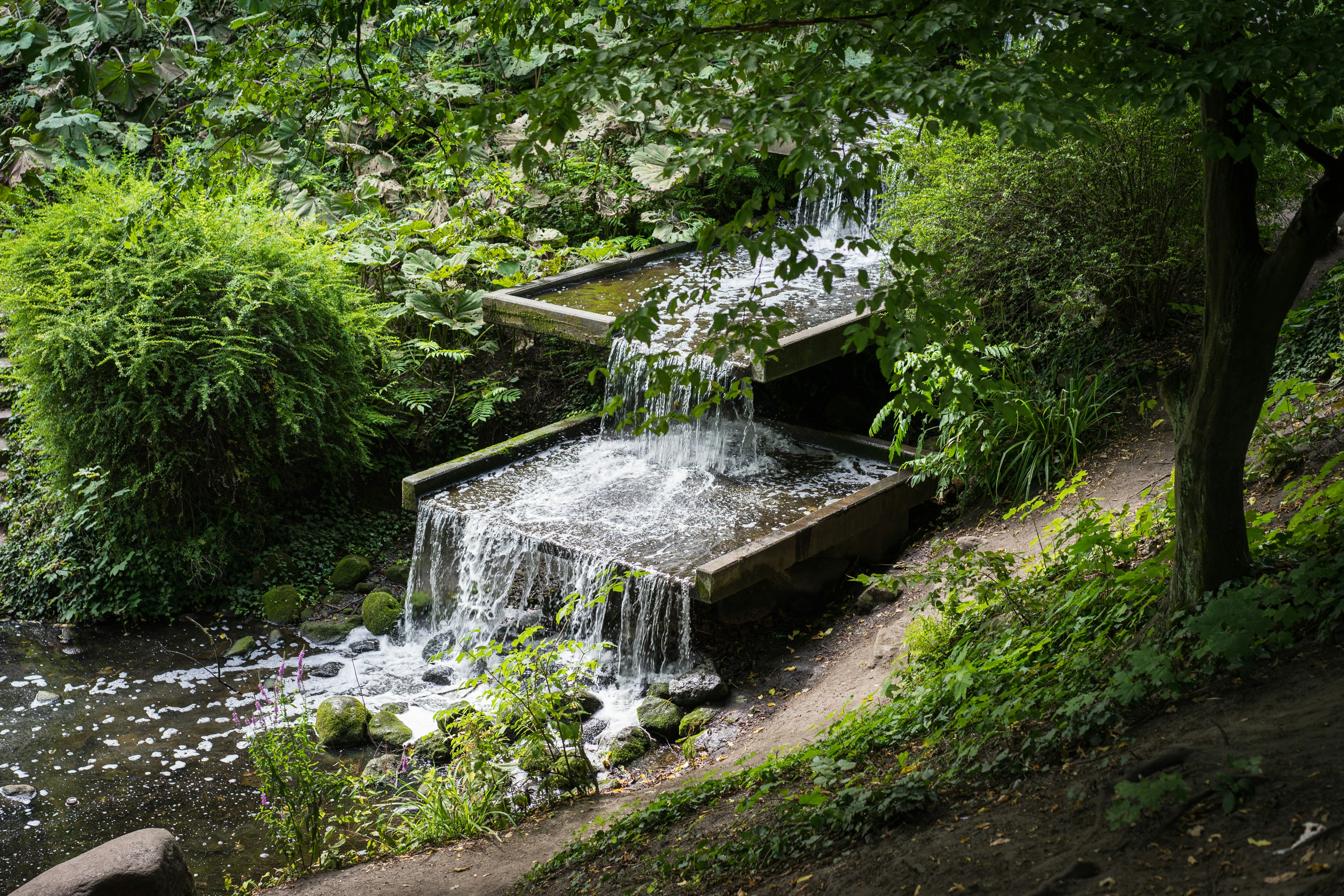 Photo by carolineclementine