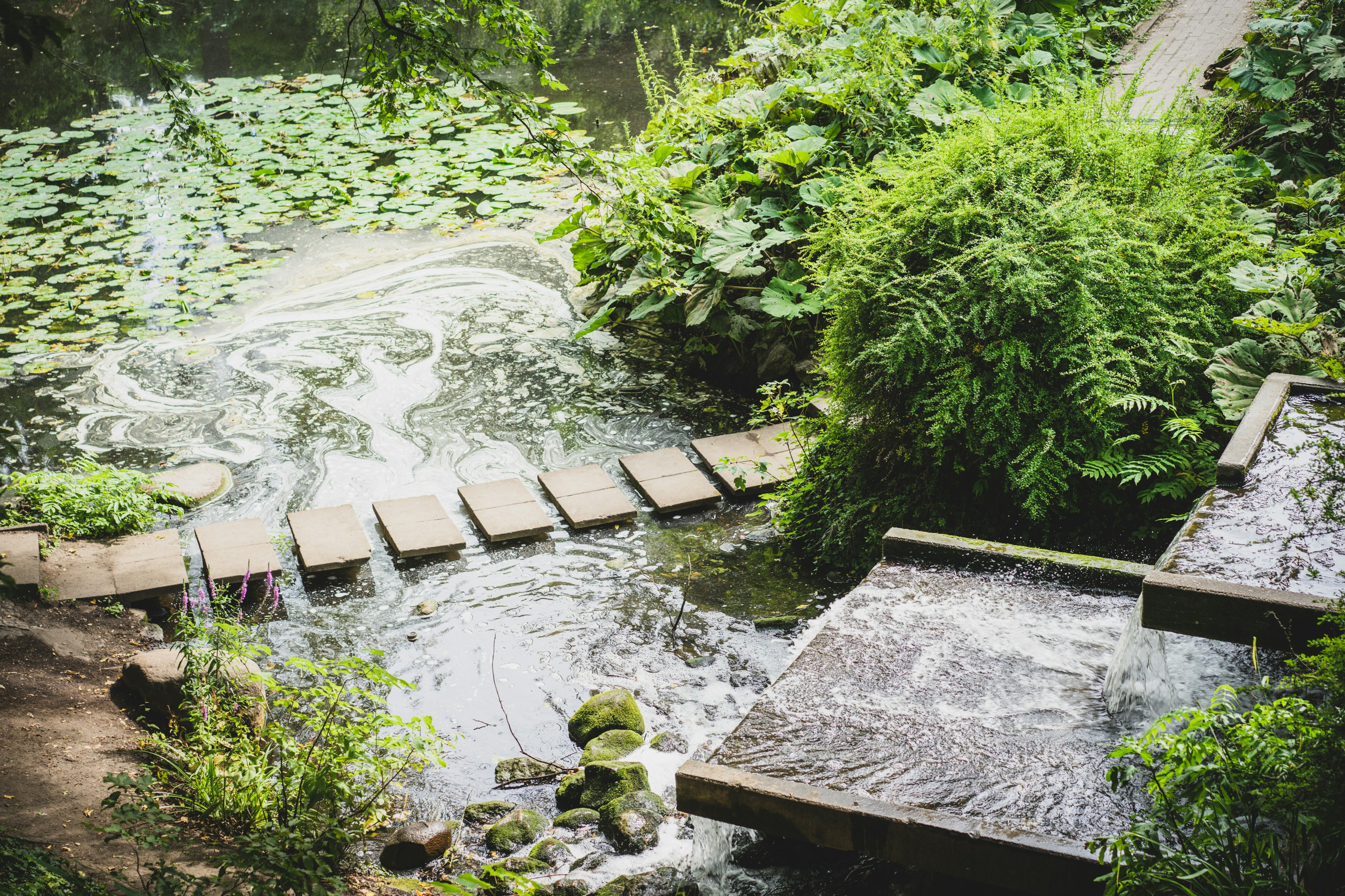 Photo by carolineclementine