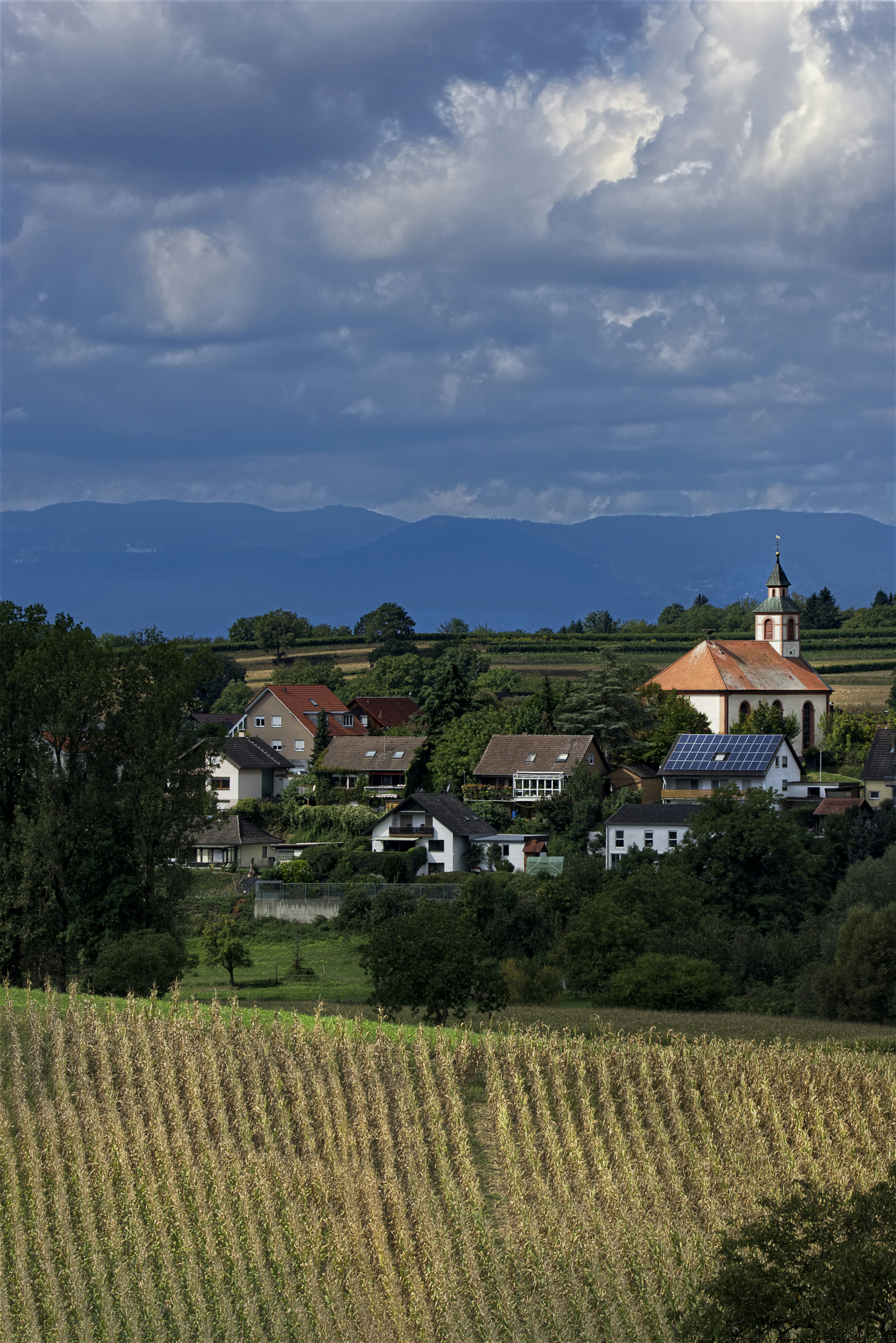 a group of houses in a valley