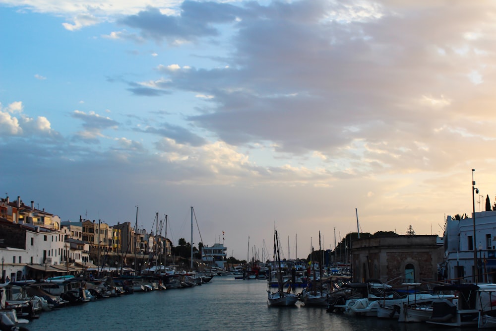 a harbor full of boats