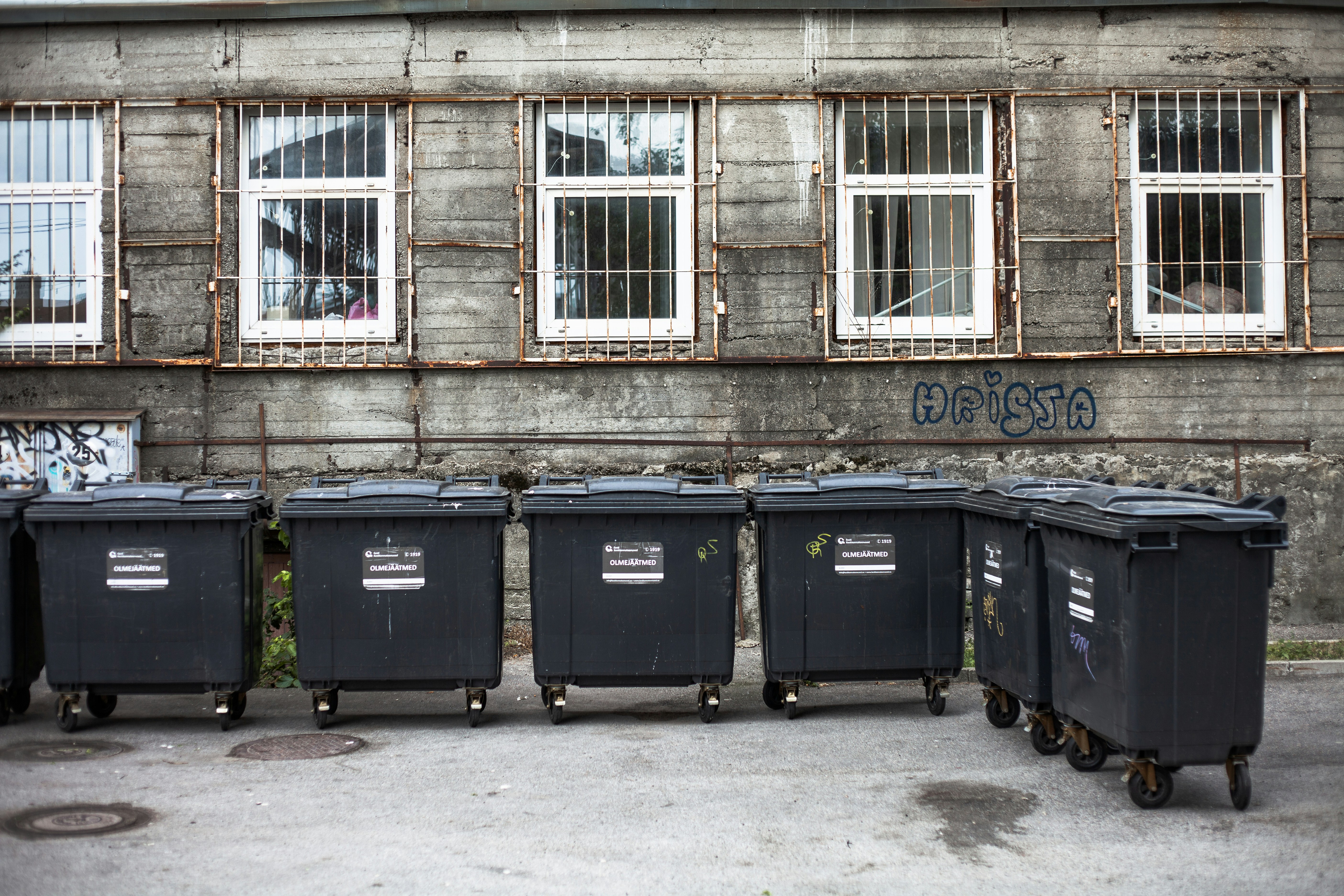 Photo by silverringvee