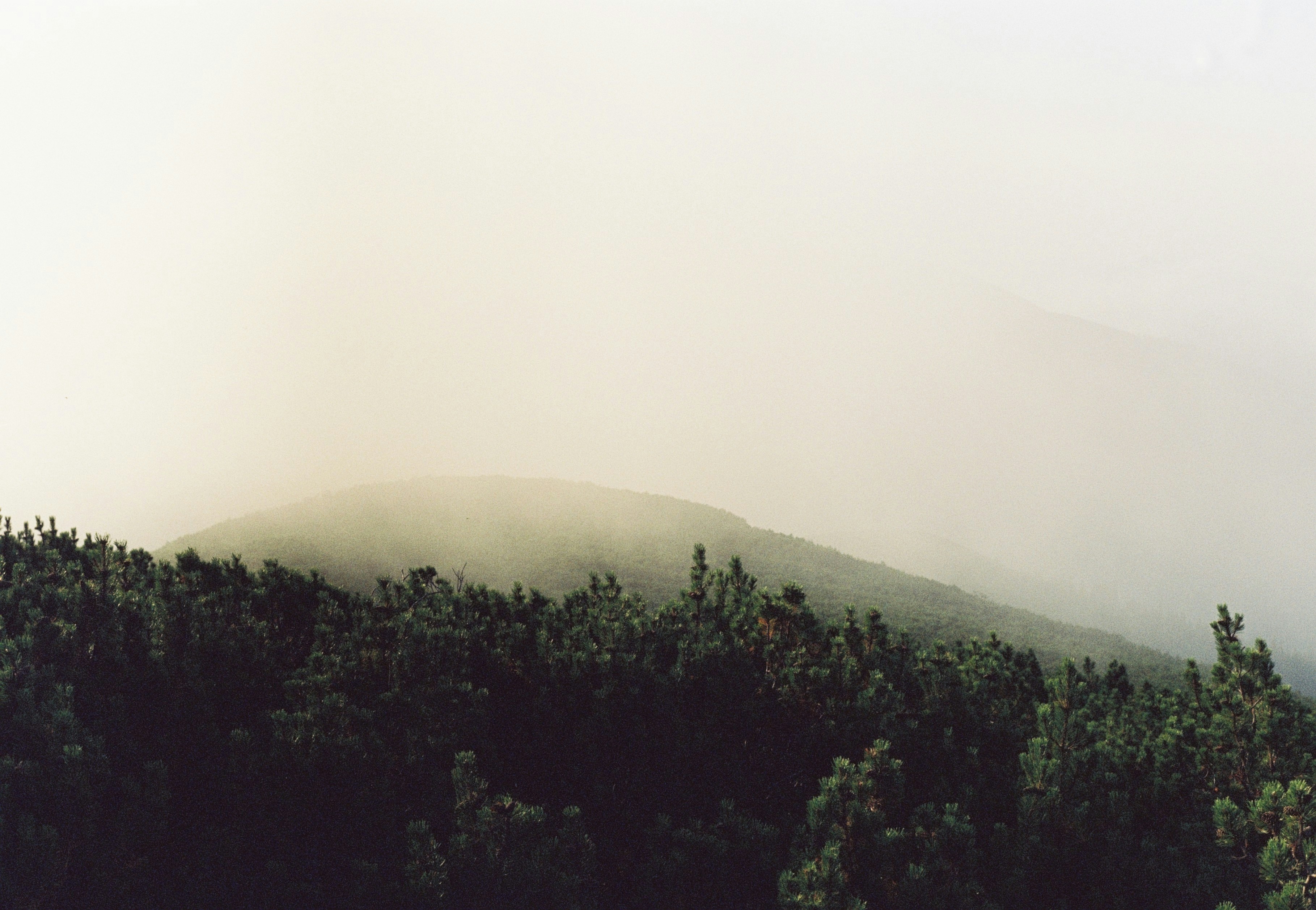 Photo by bohdanpalahai