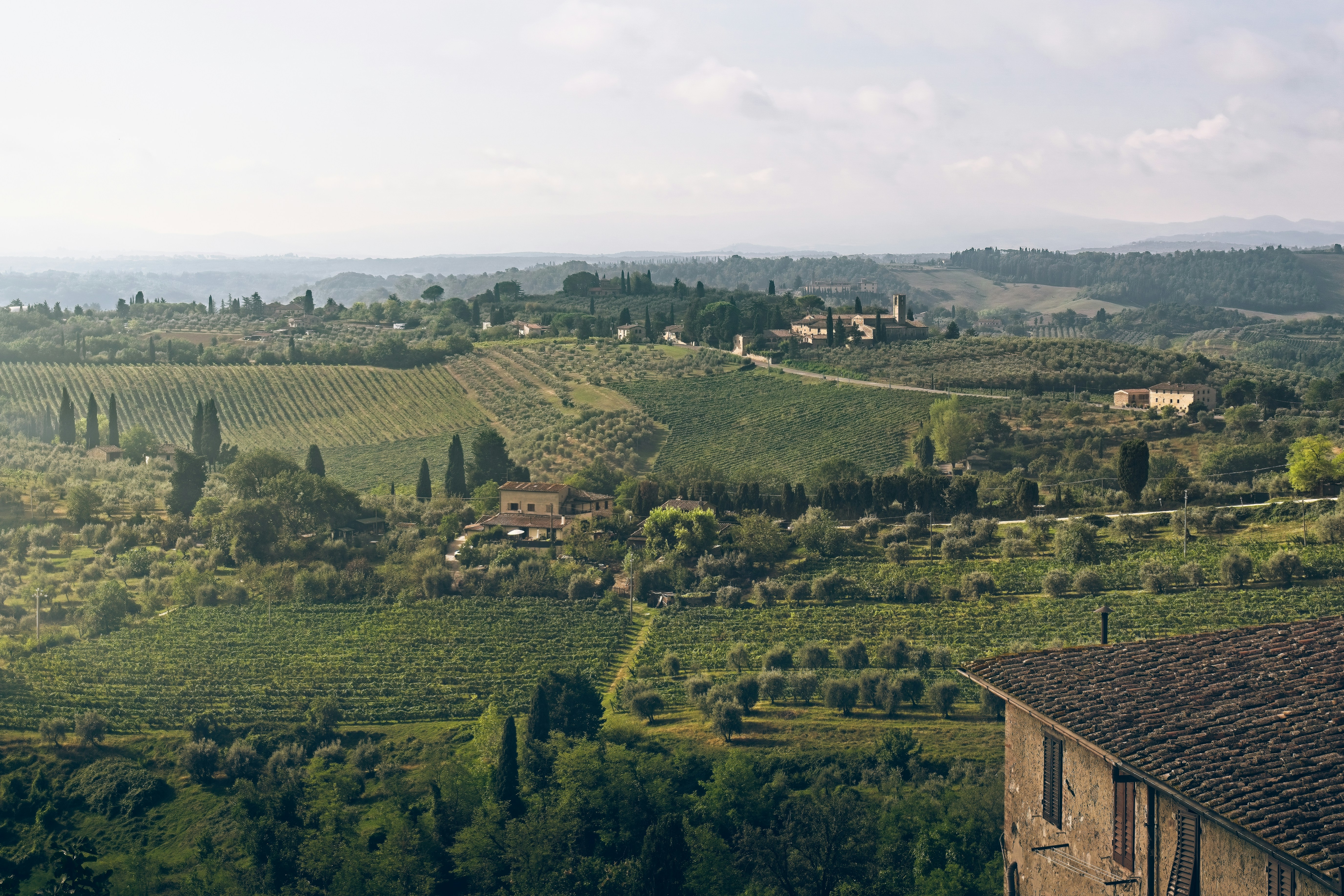 A landscape with trees and buildings