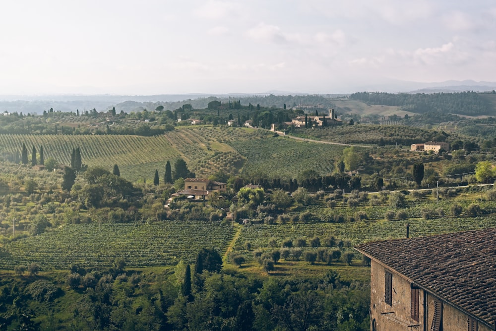 a landscape with trees and buildings