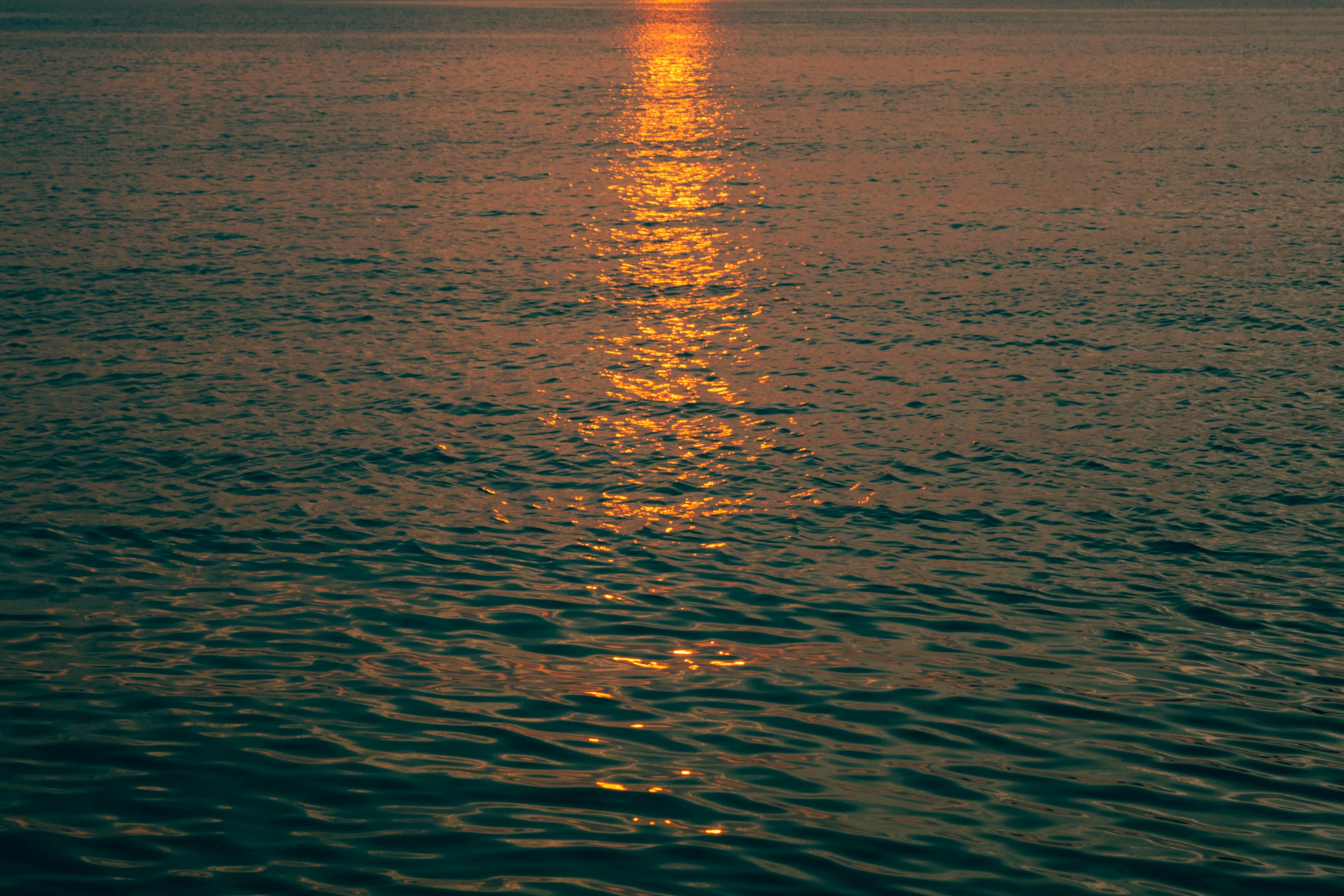 Photo by shotbyimran