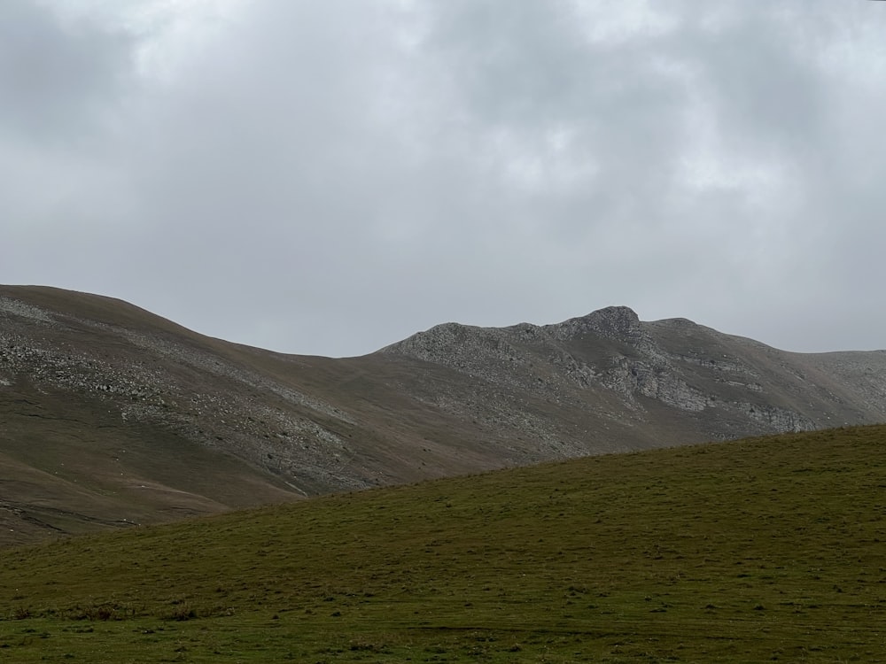 a grassy hill with a large mountain in the background