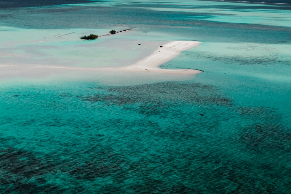 a beach with a body of water