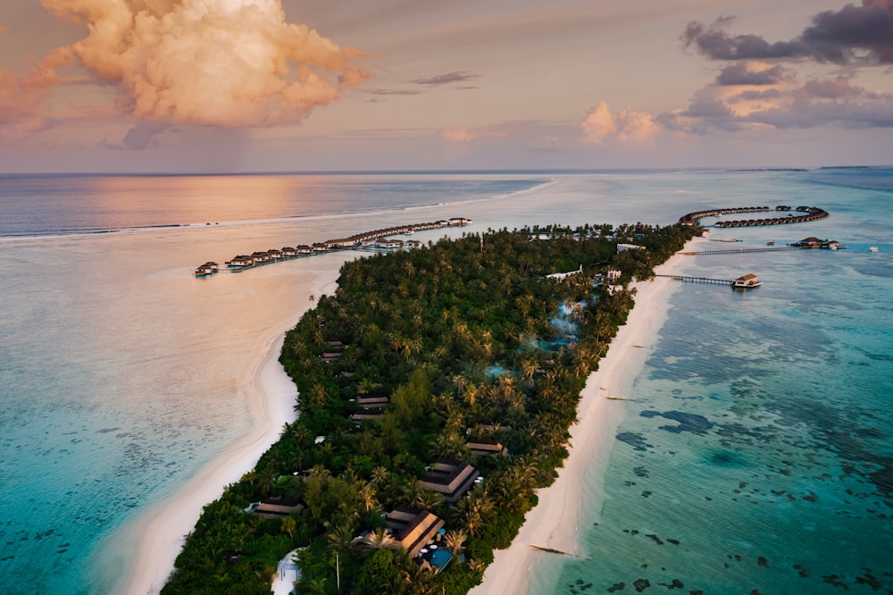 a beach with houses and trees