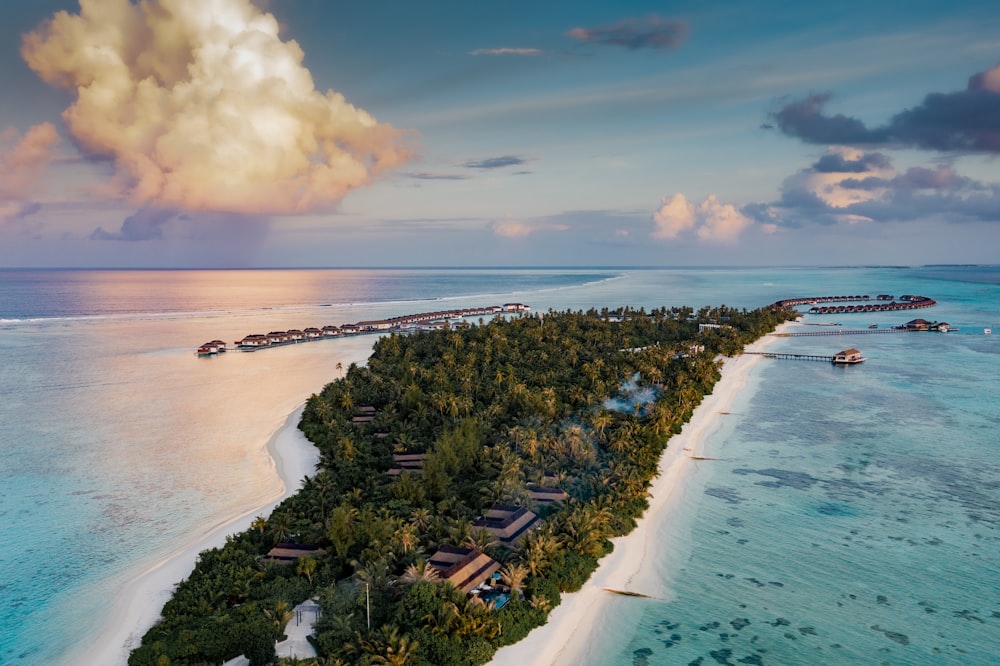 a beach with trees and buildings