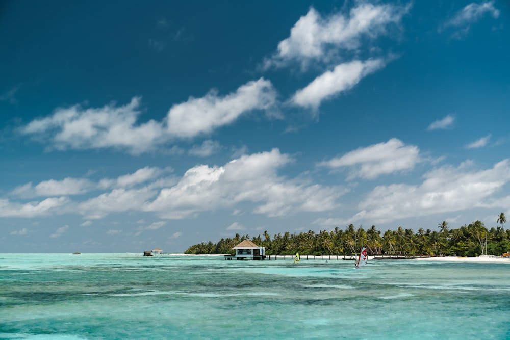 a body of water with a house and trees in the background