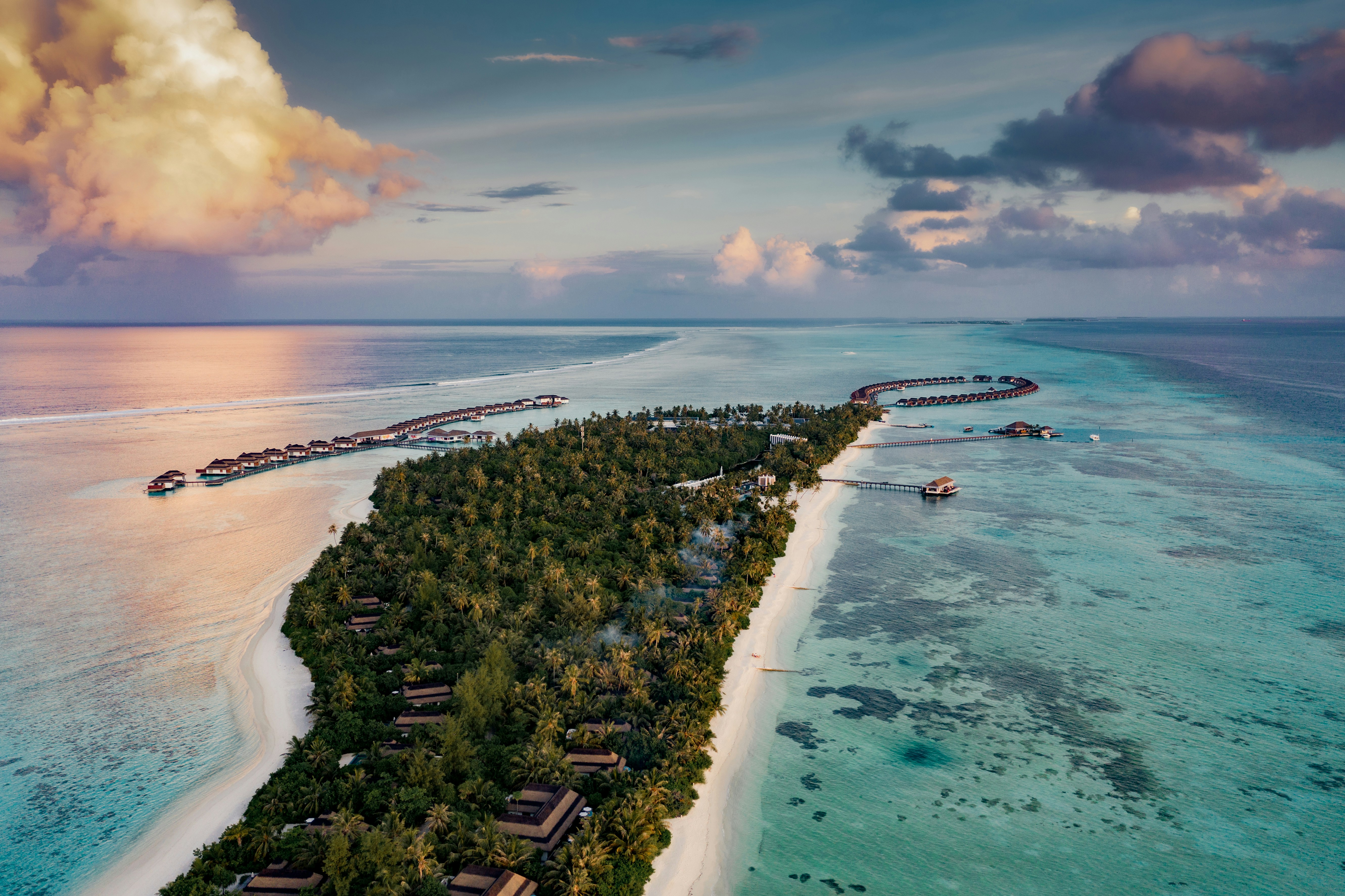 a beach with houses and trees