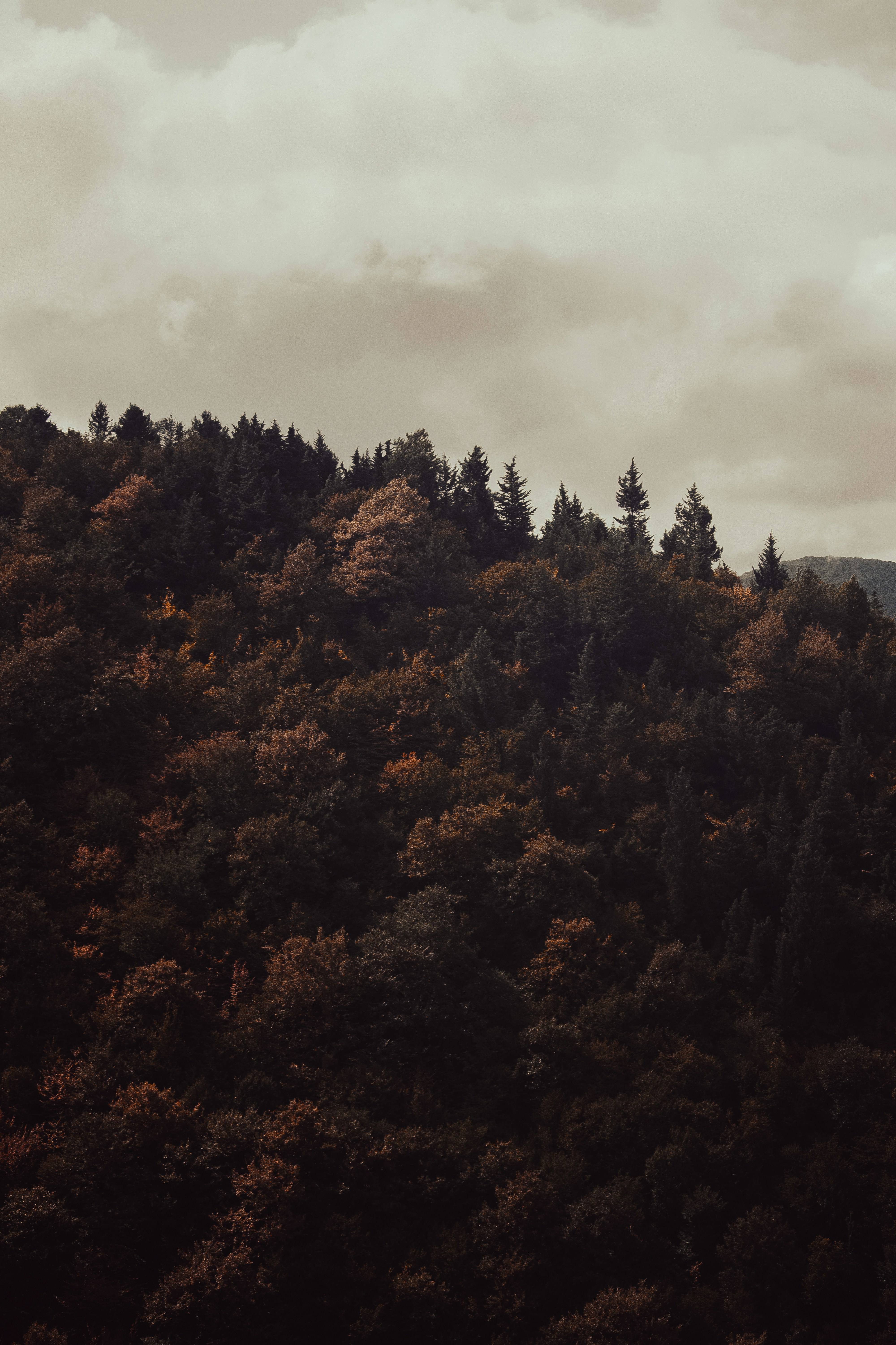 Photo by sinabahar76