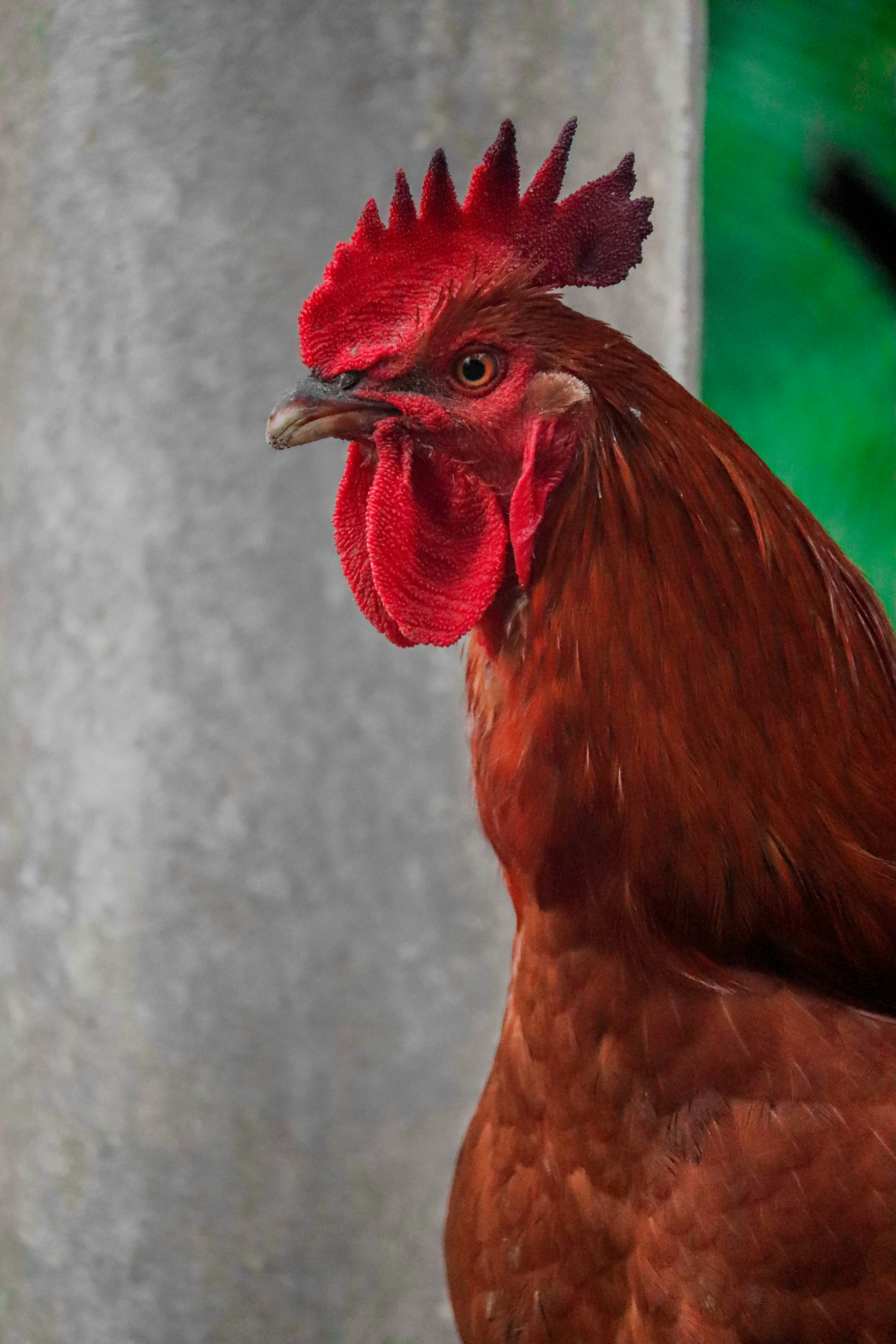 Photo by sinabahar76